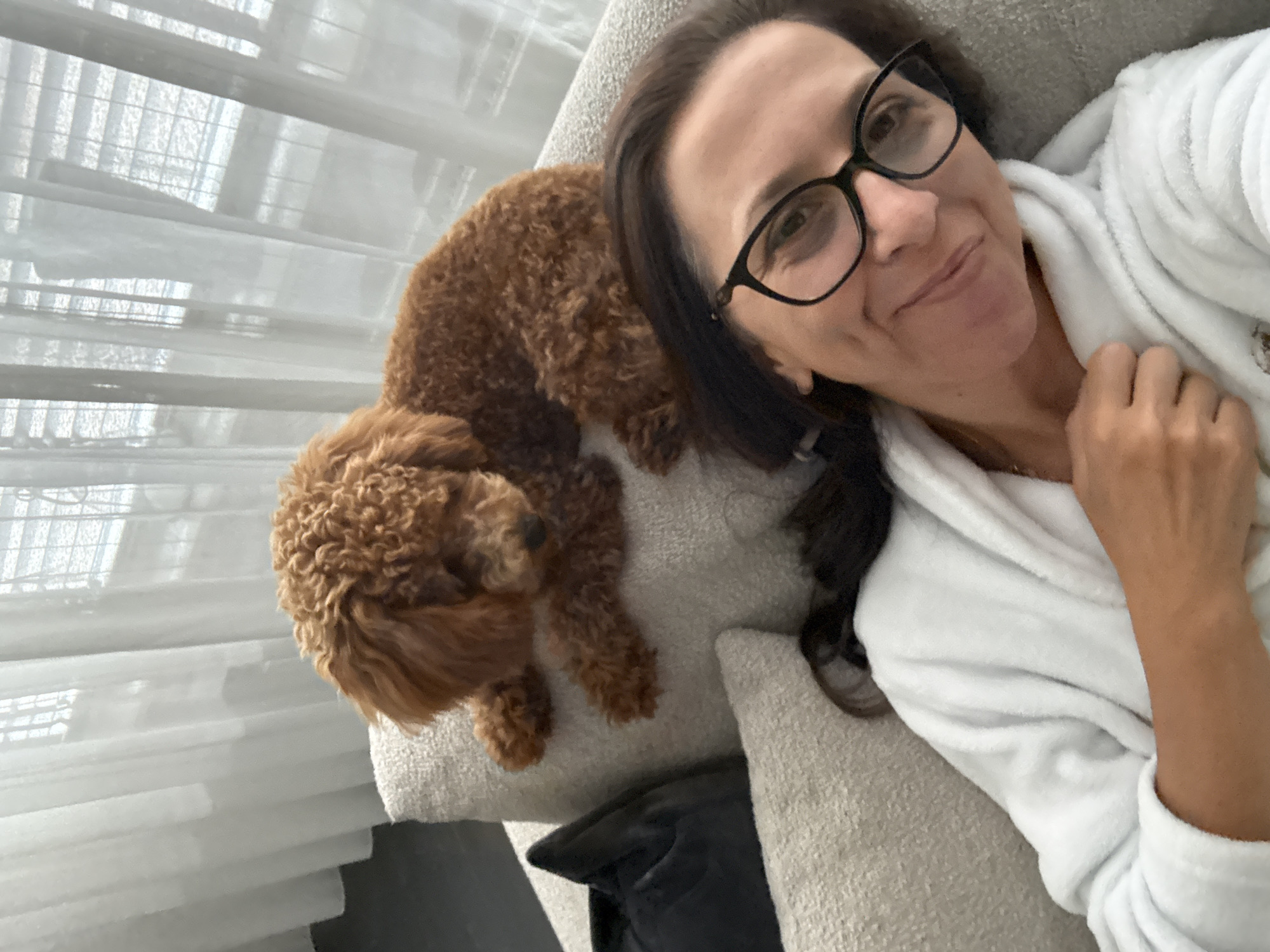 Cozy morning at home with a sleepy brown poodle