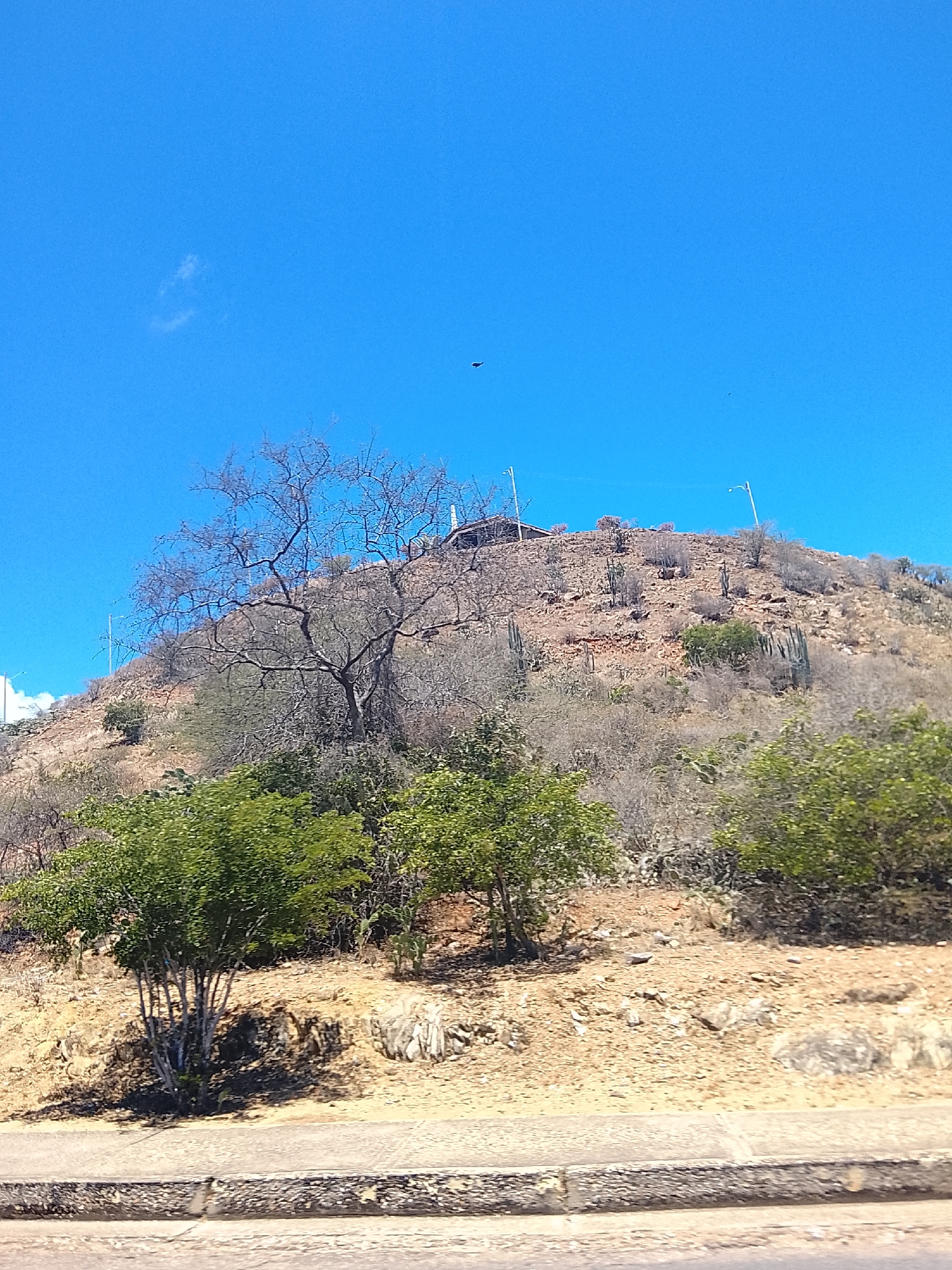 Motorcycle rider documents sunny afternoon journey through Juan Griego