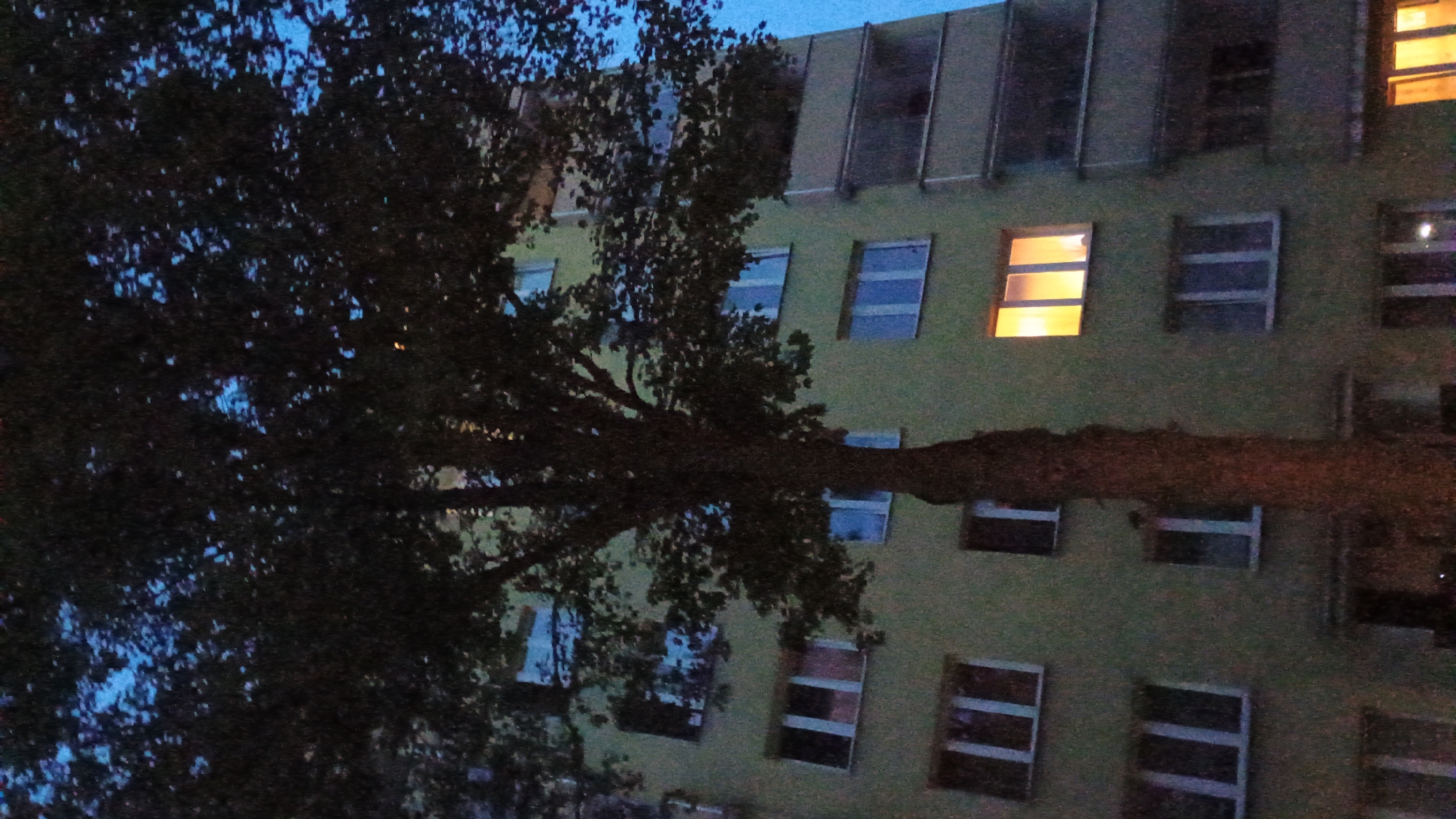 Sokolov streets and bike paths settle into a summer evening