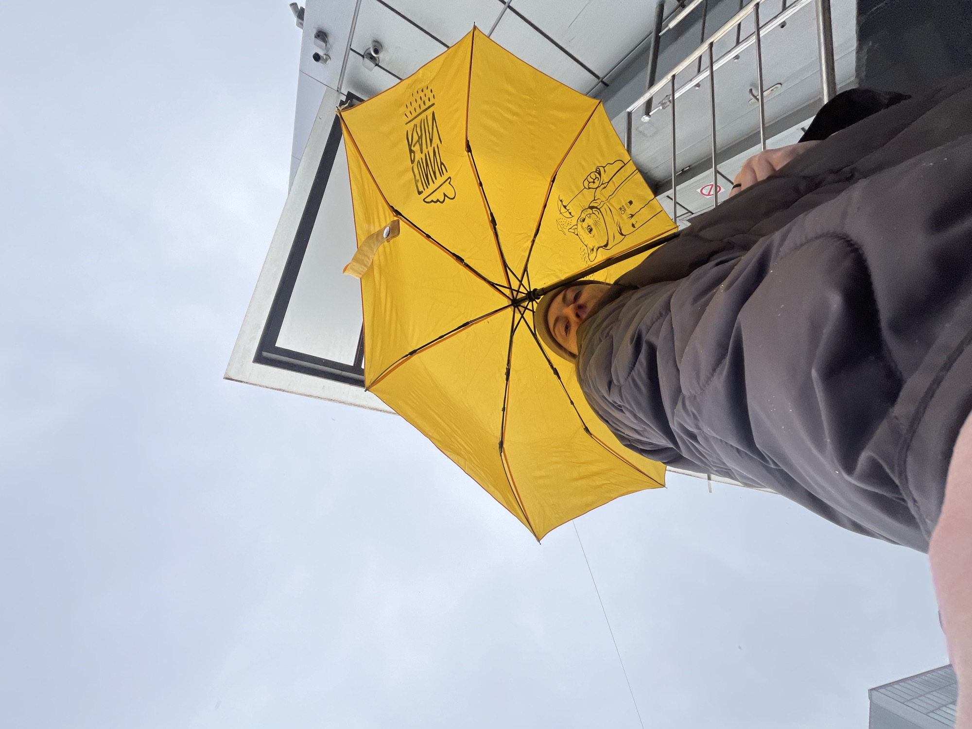 Person with yellow umbrella spotted in overcast Klin