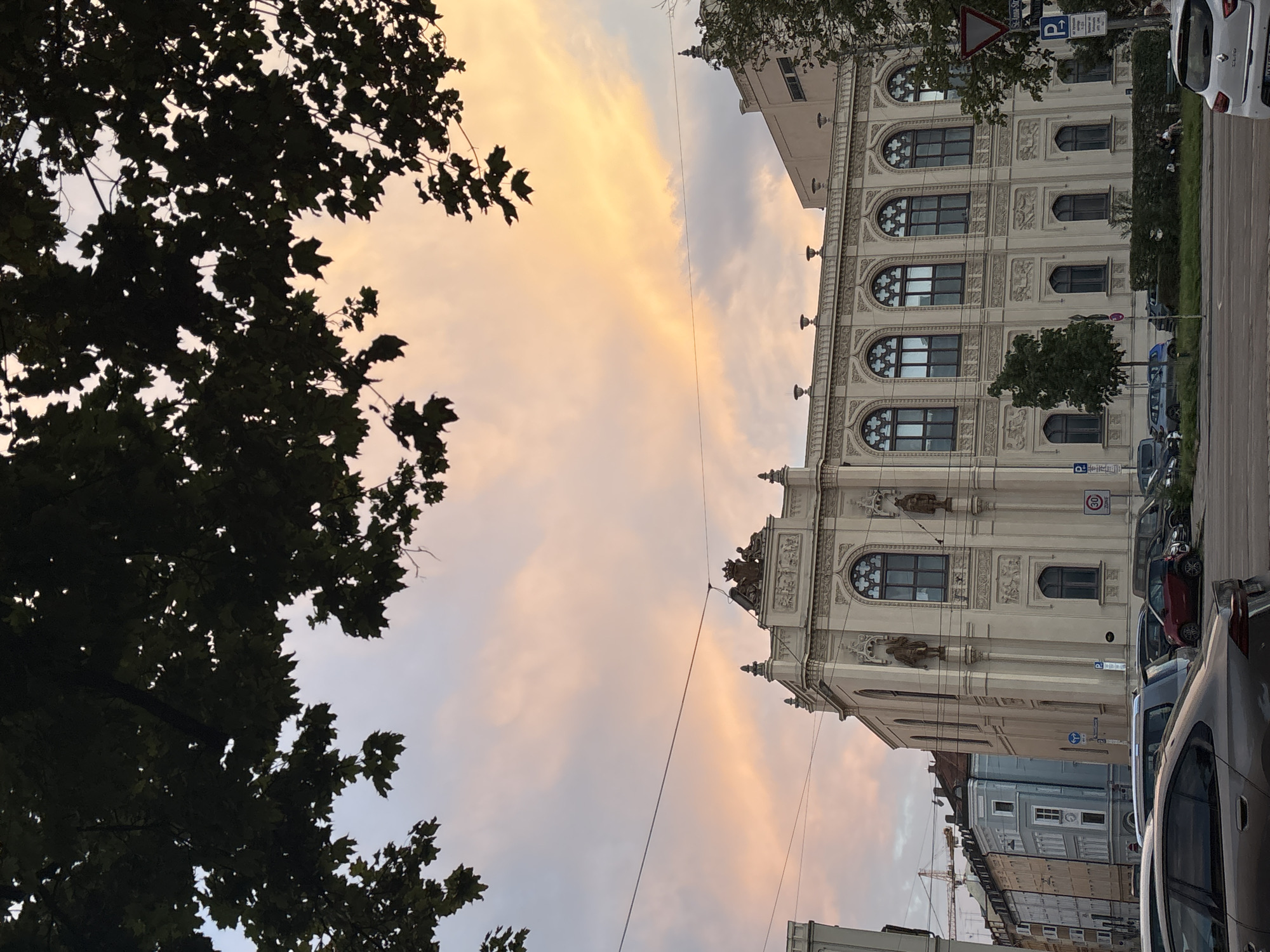 Munich evening: ornate architecture and a wire-crossed dusk sky