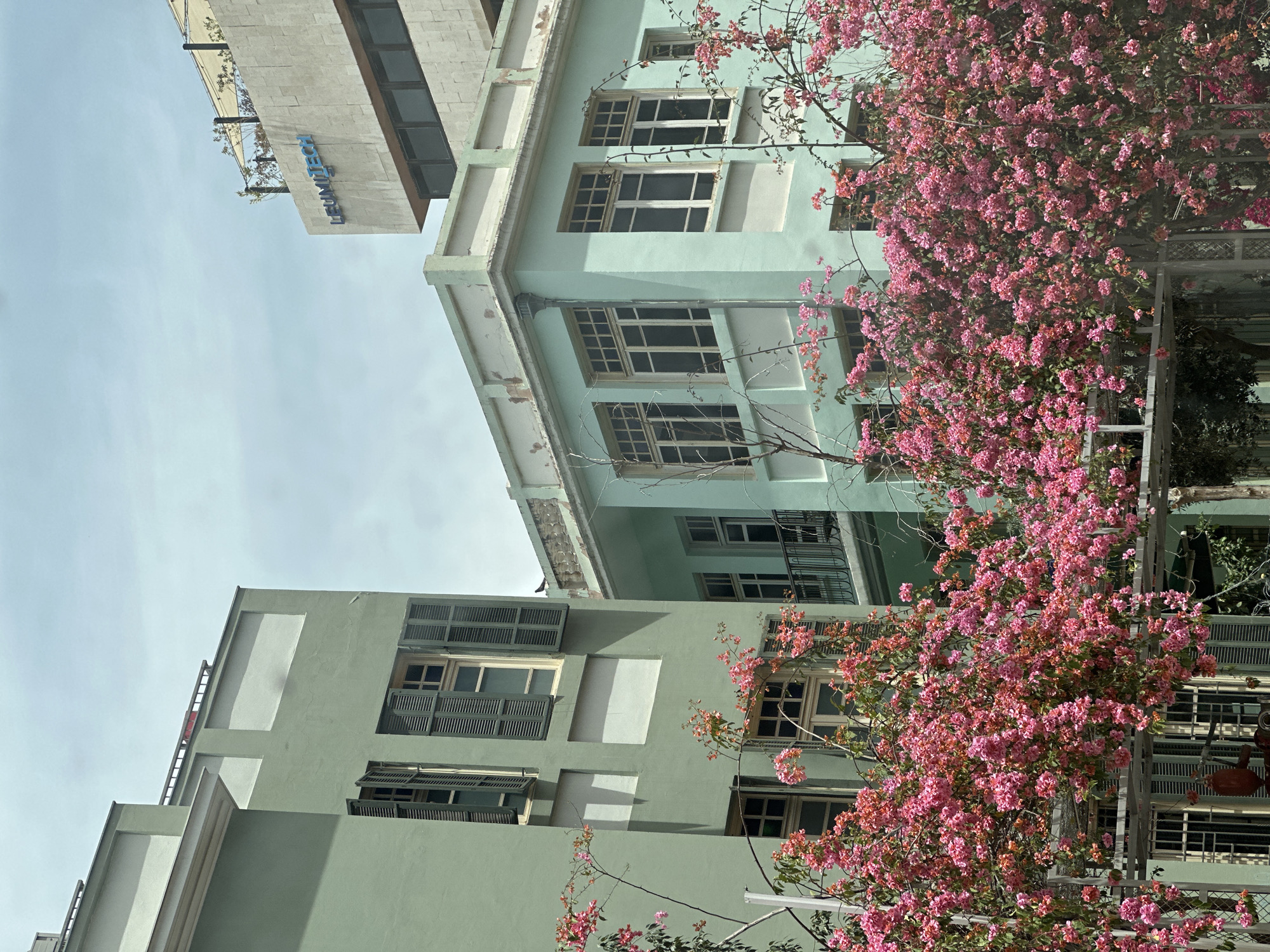 Mixed architecture and vegetation observed in Tel-Aviv street scene