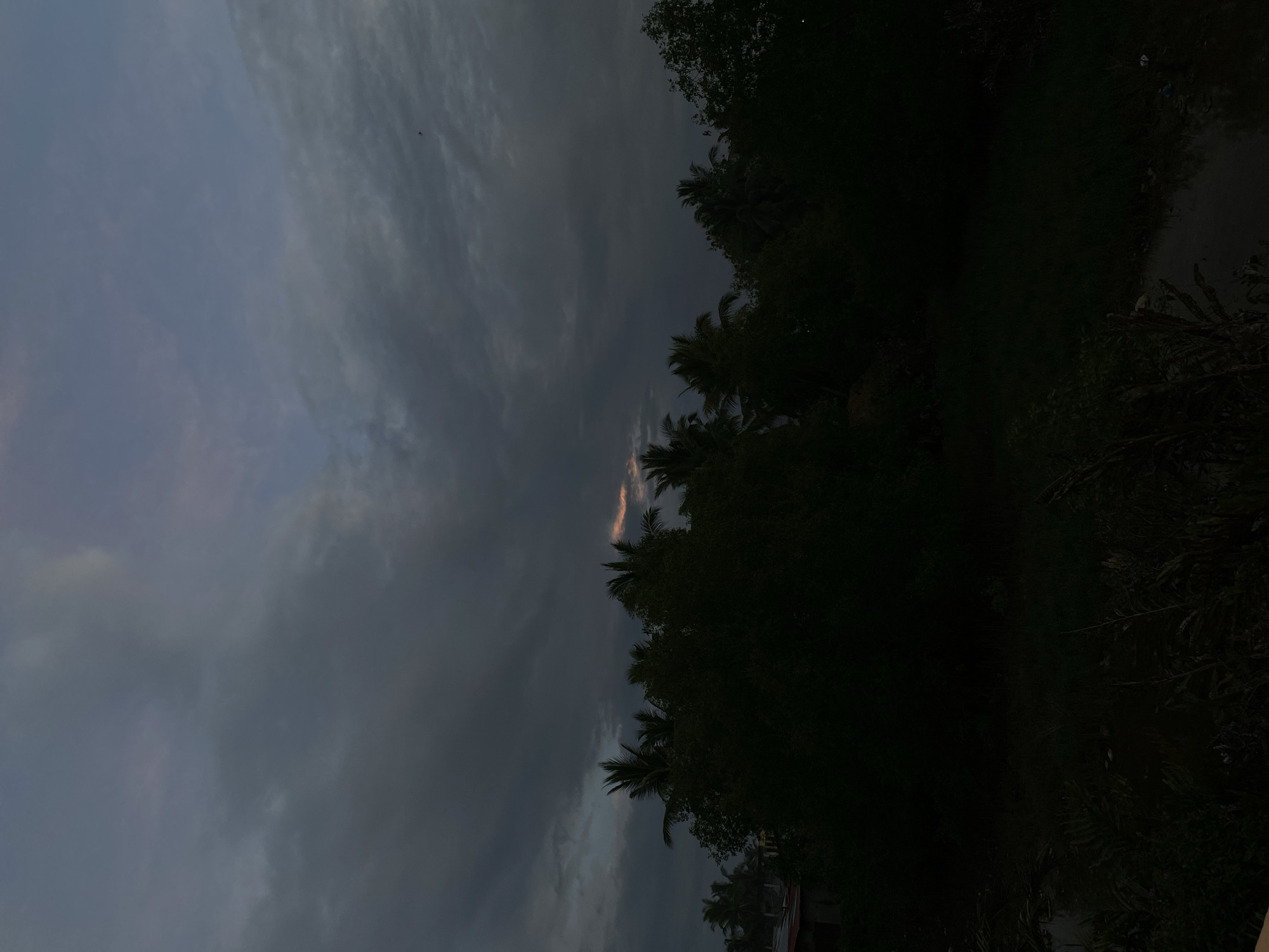 Sunset documented through palm trees in Tanjongkapai, Indonesia