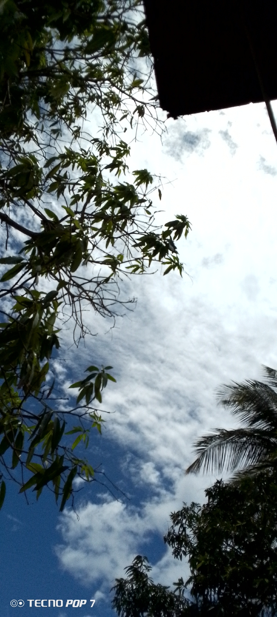 Partly cloudy afternoon sky over a yard in Altagracia