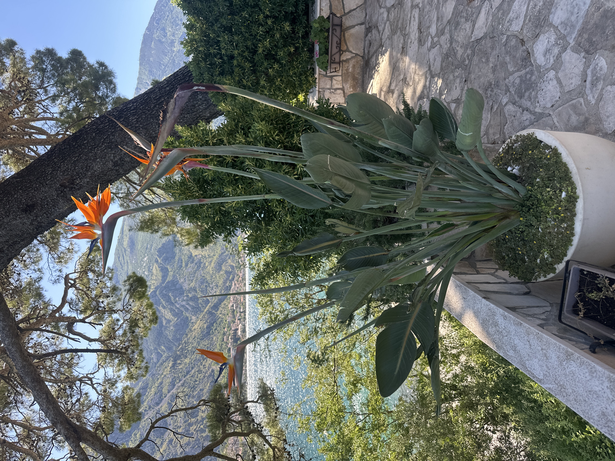 Morning tourist activity captured in coastal Prčanj, Montenegro
