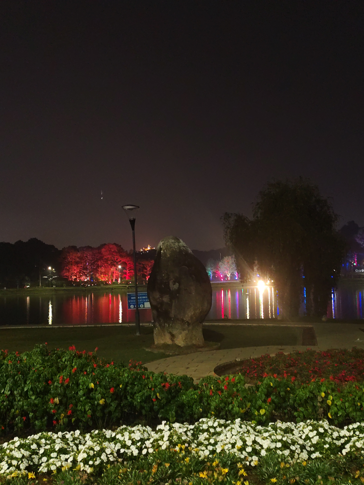 Nighttime lakeside flowers captured at Da Lat's Xuan Huong Lake