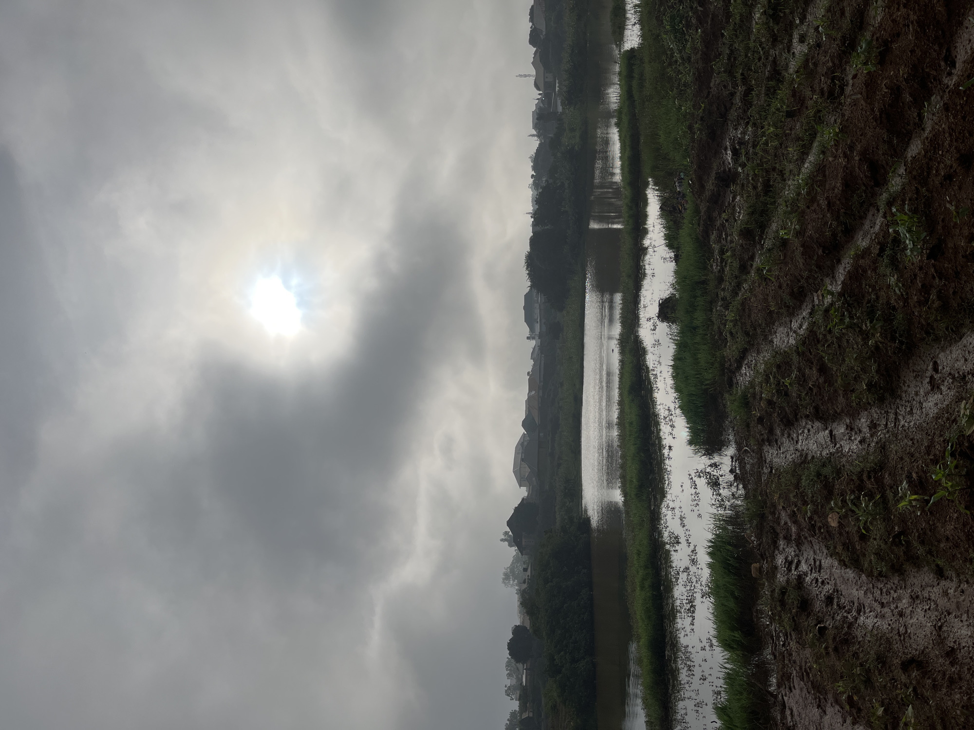 Rainy morning at a Jos pond, school kids on muddy roads