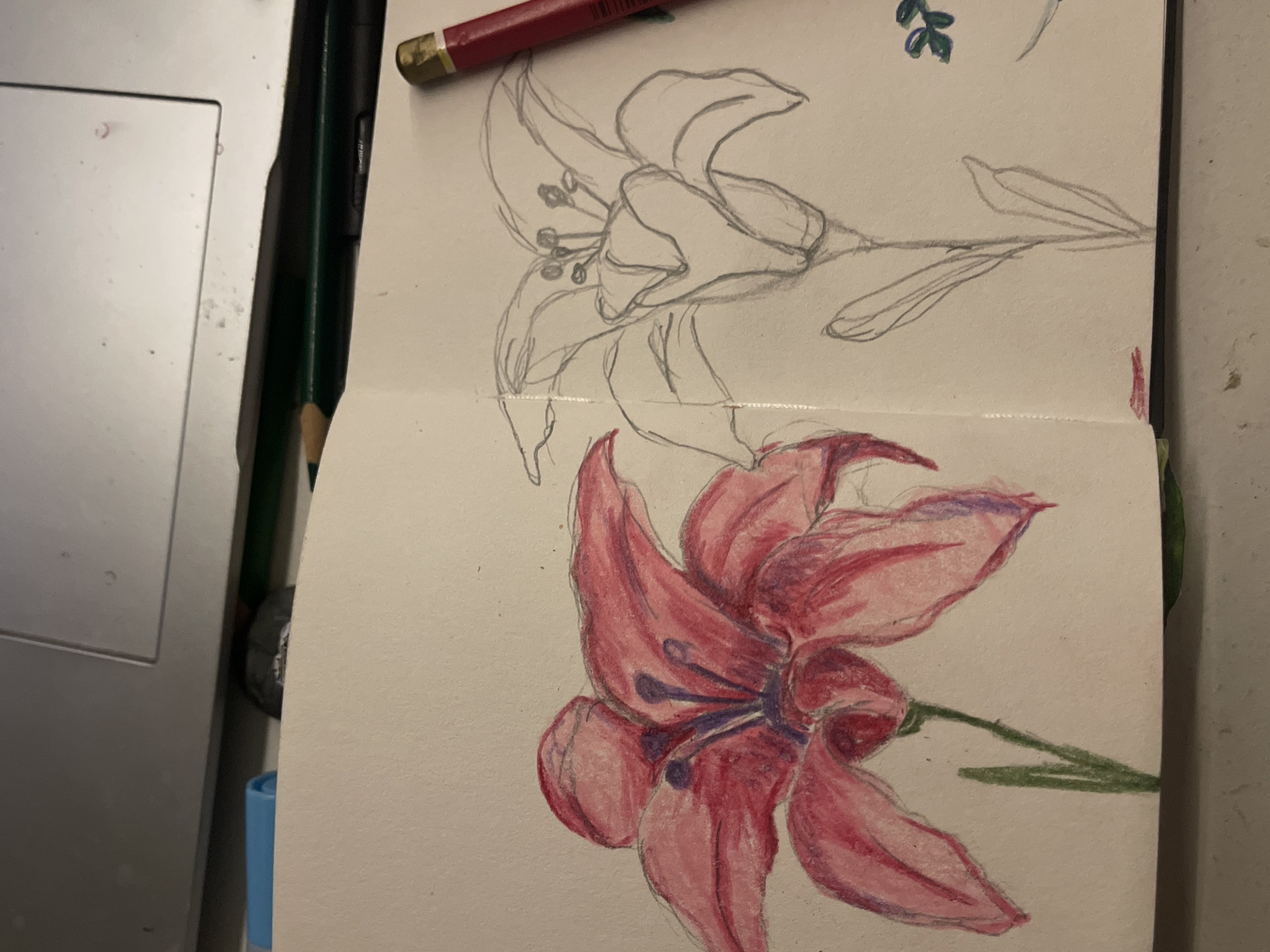 Artist documents mixed-media sketchbook work in Maidstone