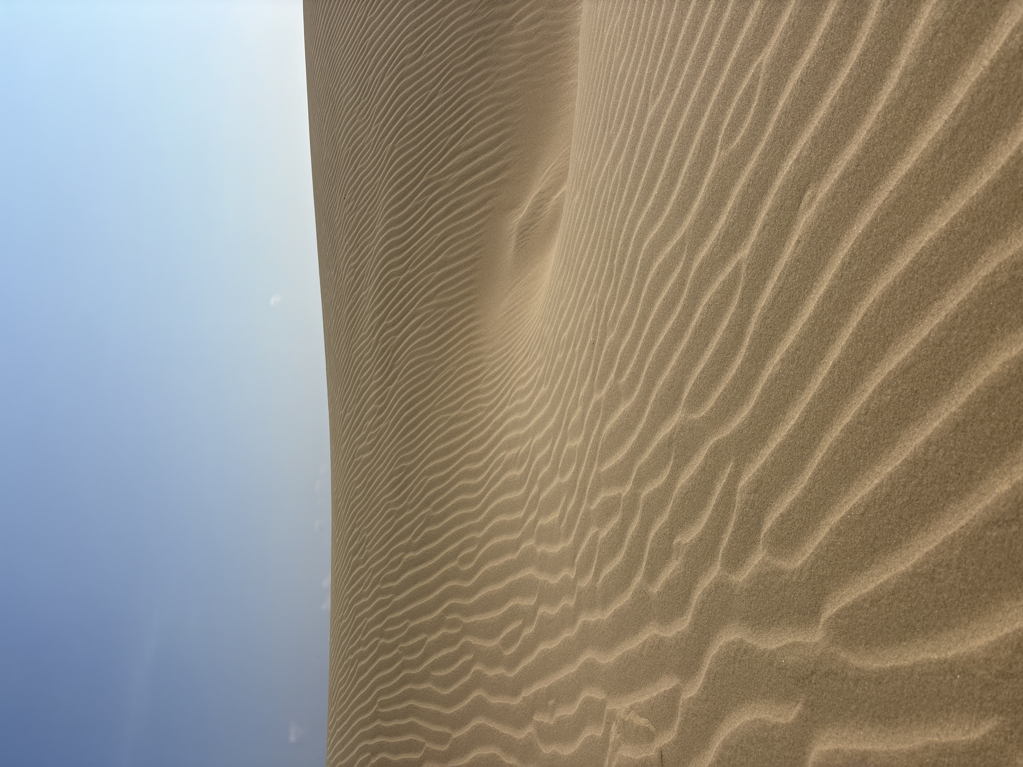 Sand dune landscapes documented in Phuoc Dinh, Vietnam