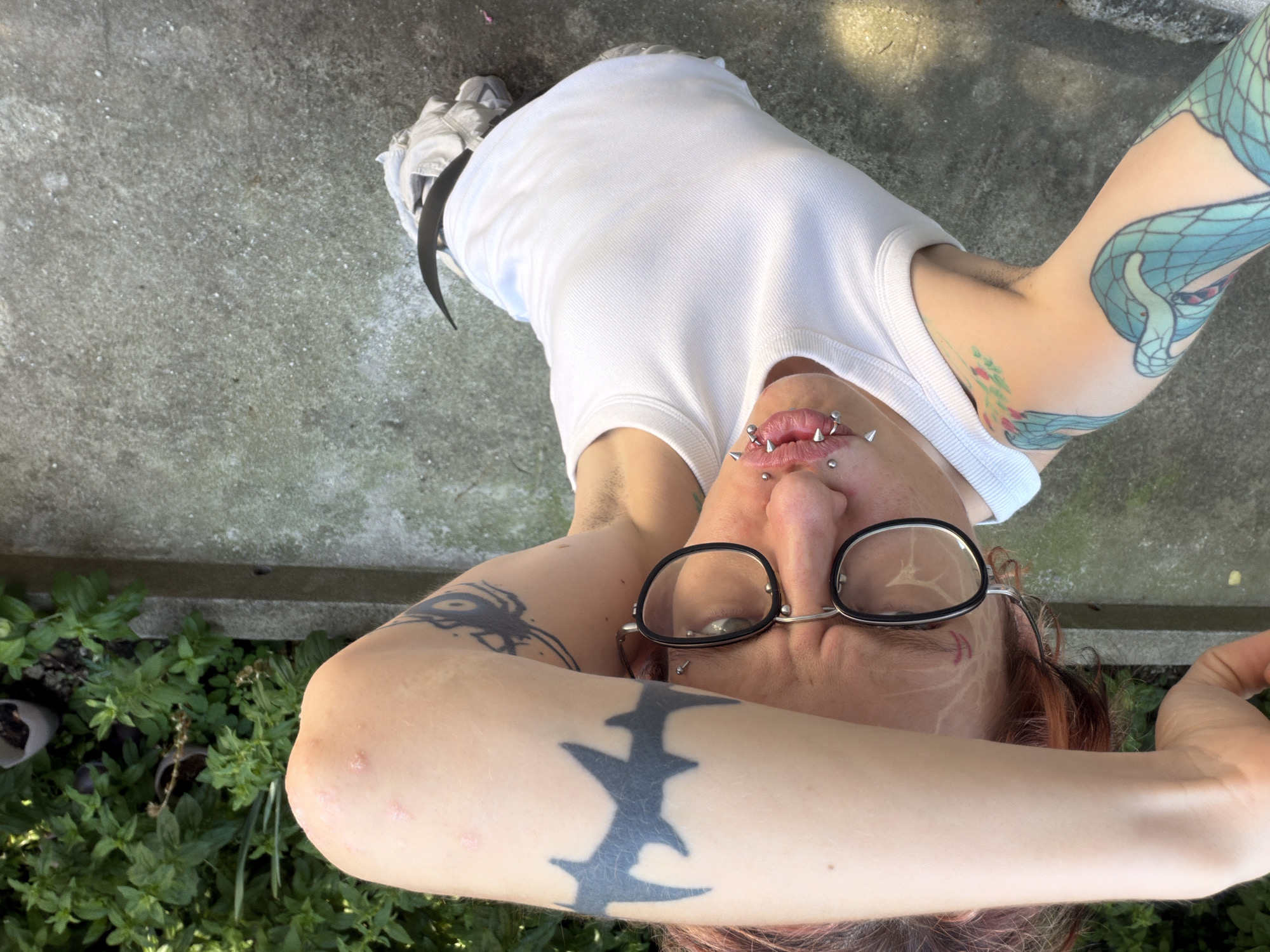 Tattooed hands, a dog, and petunias in Sofia