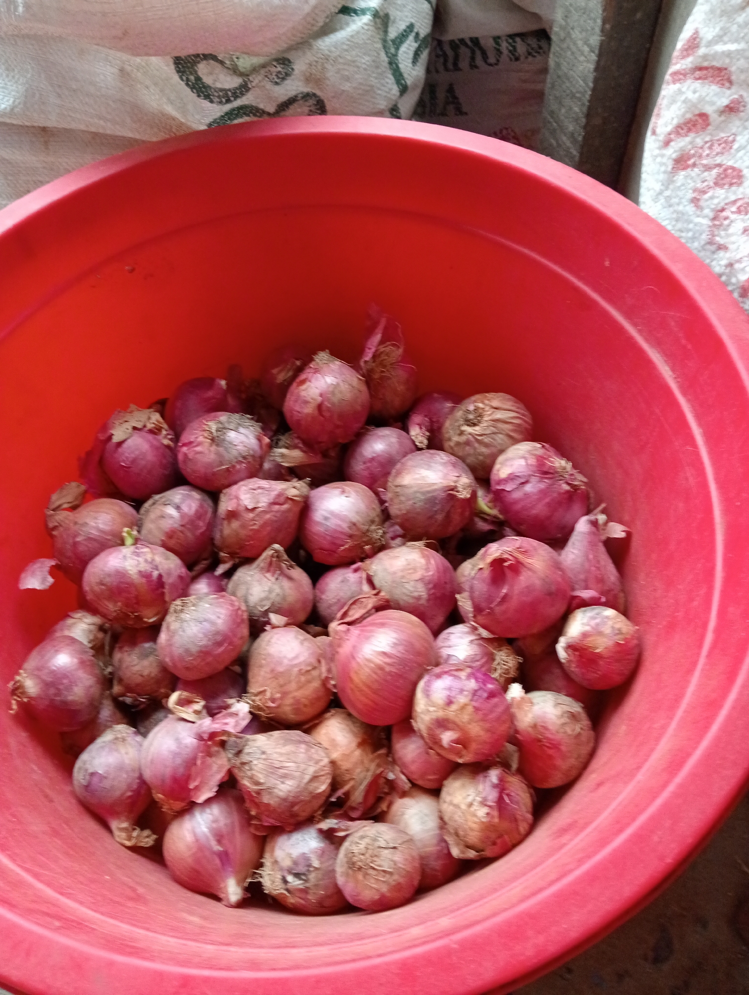 Red onions, ginger, and garlic at a Keudegeudong market