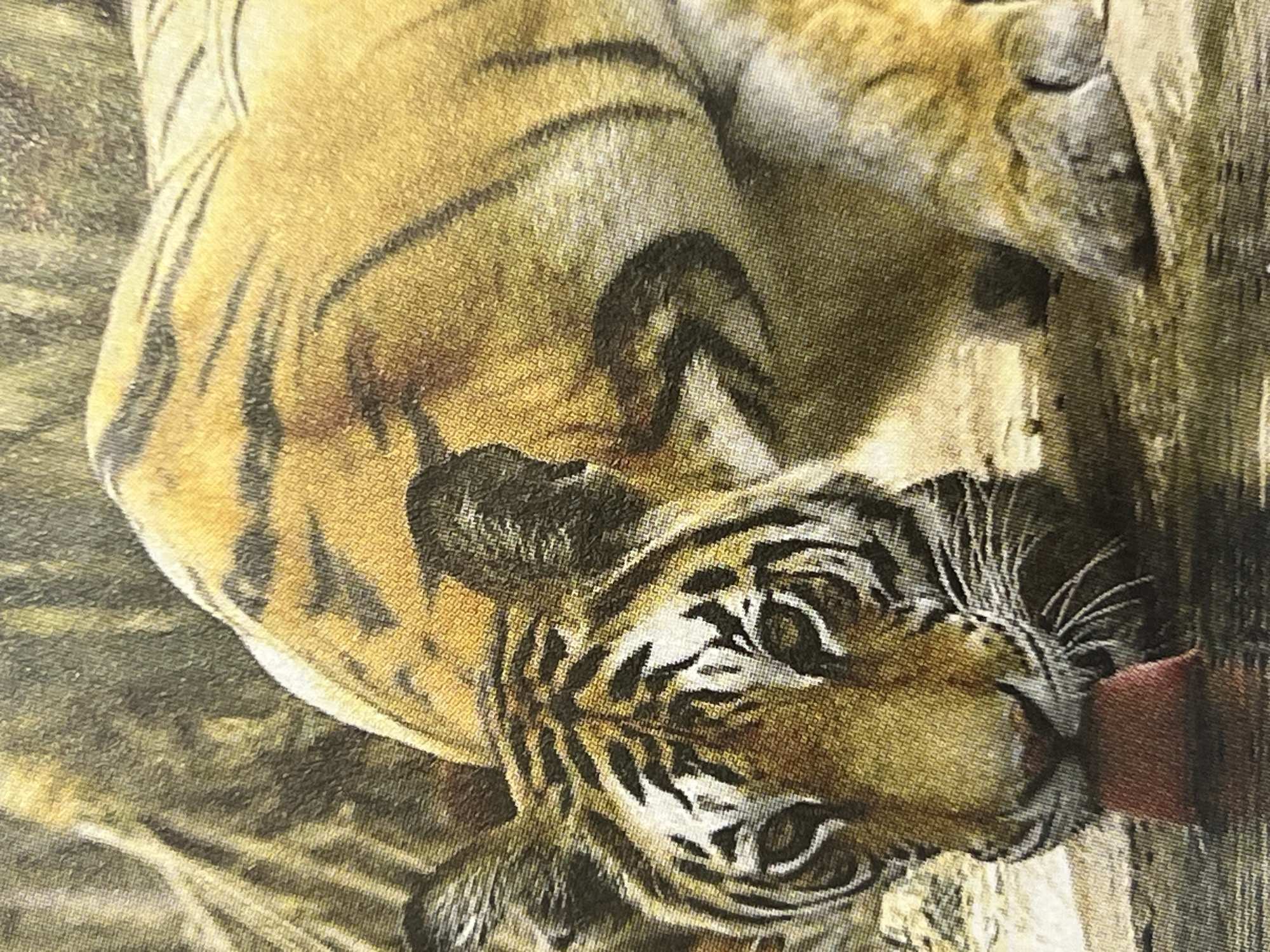 Mixed urban scenes captured: tiger, barbershop, architecture, flower shop