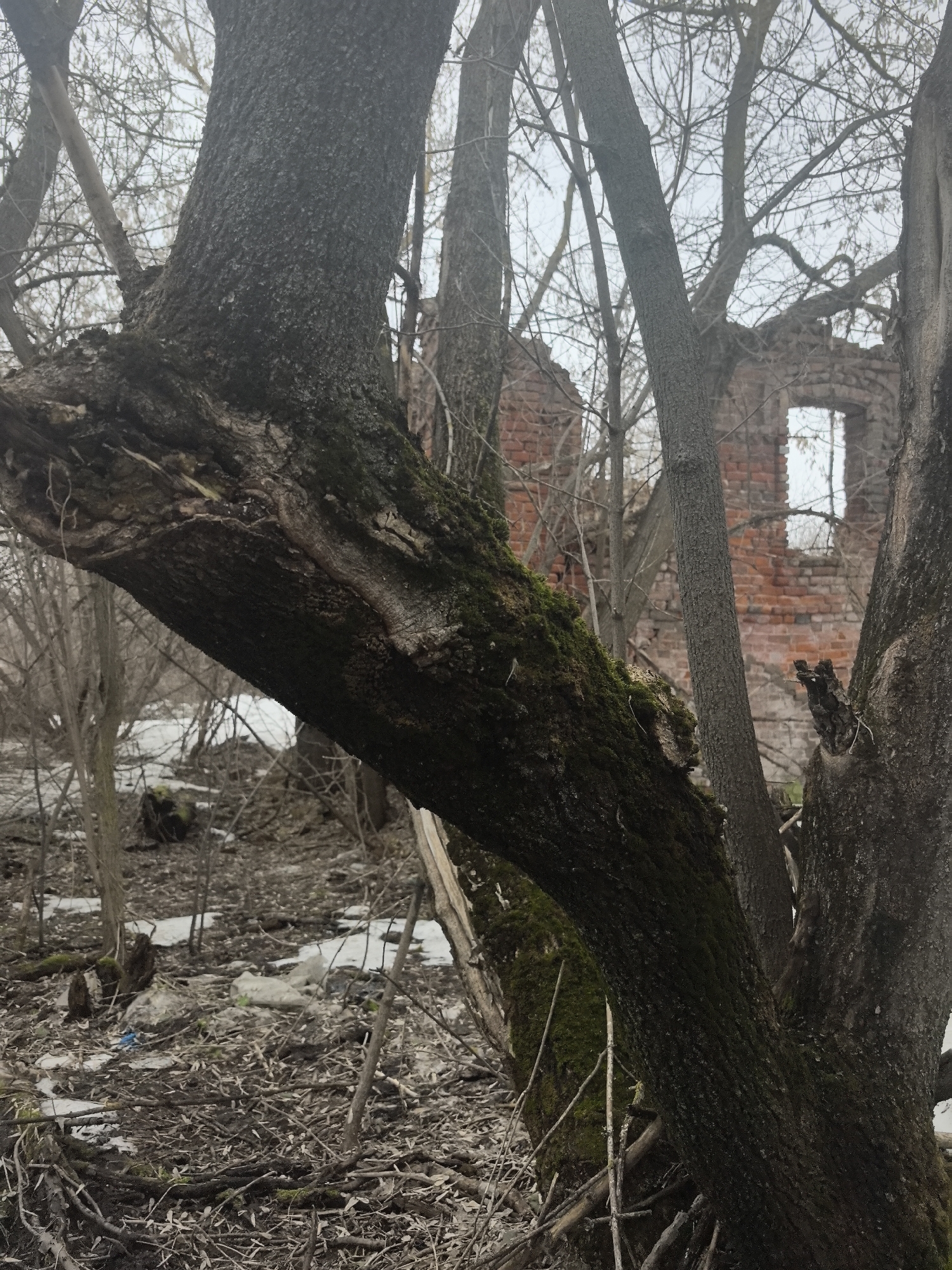 Brick ruins documented in Tolba, Russia amid spring thaw