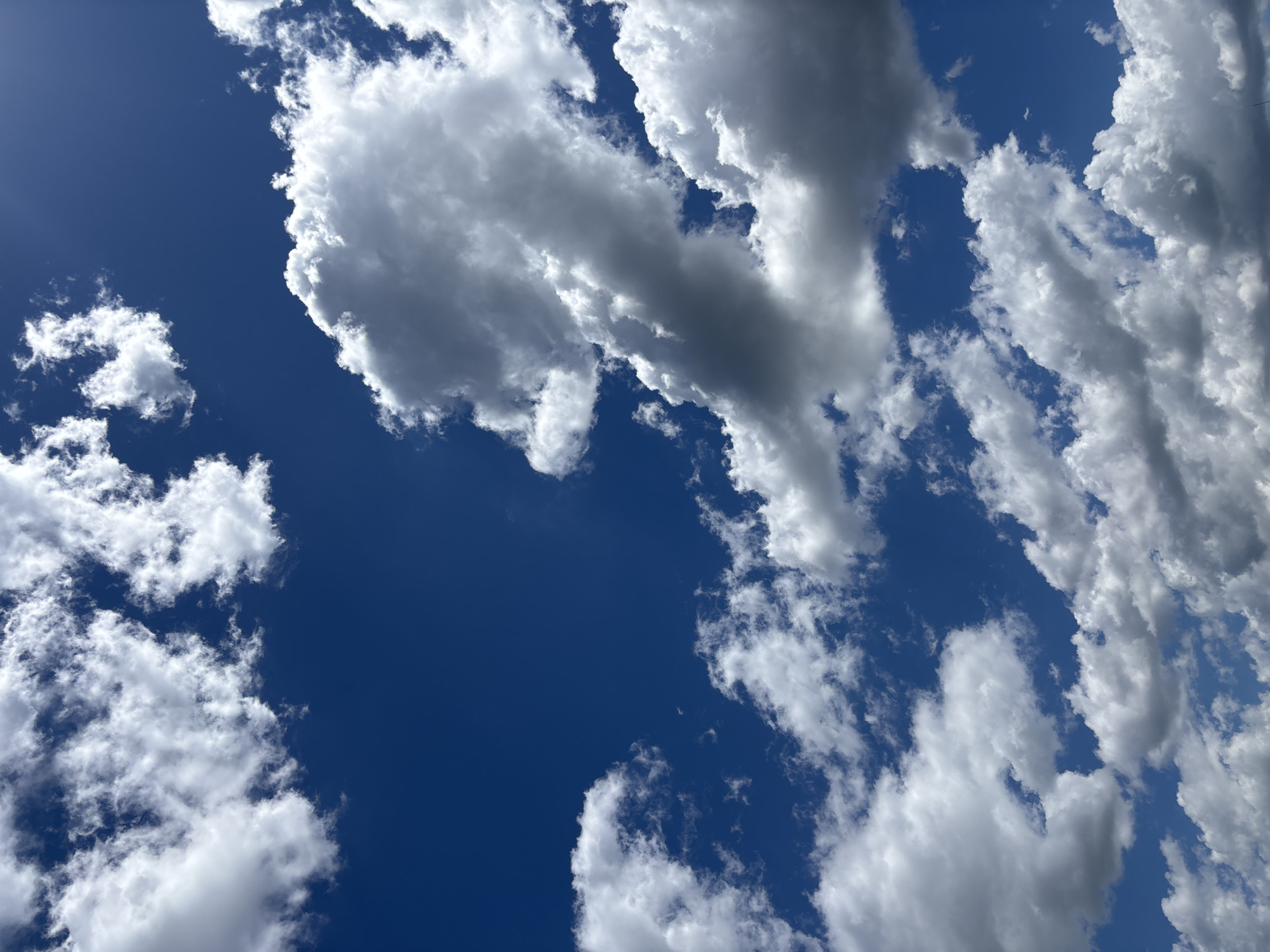 Morning sky observation documented in Ruse, Bulgaria