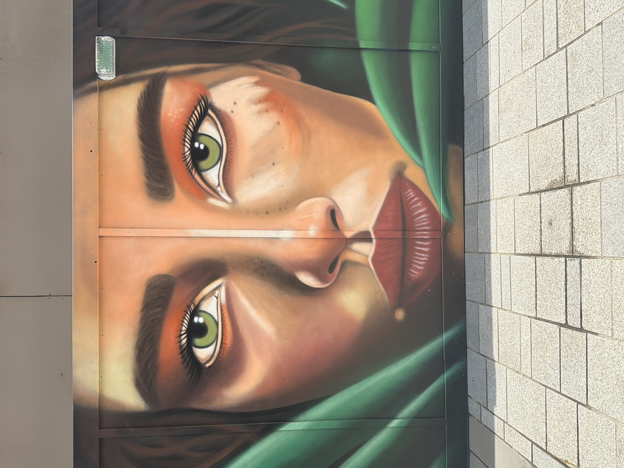 Street art and suburban scenes captured during afternoon hours