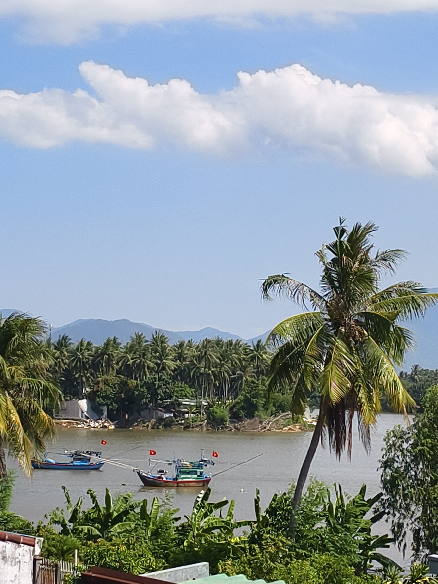 Elevated view of tropical river landscape captured by witness