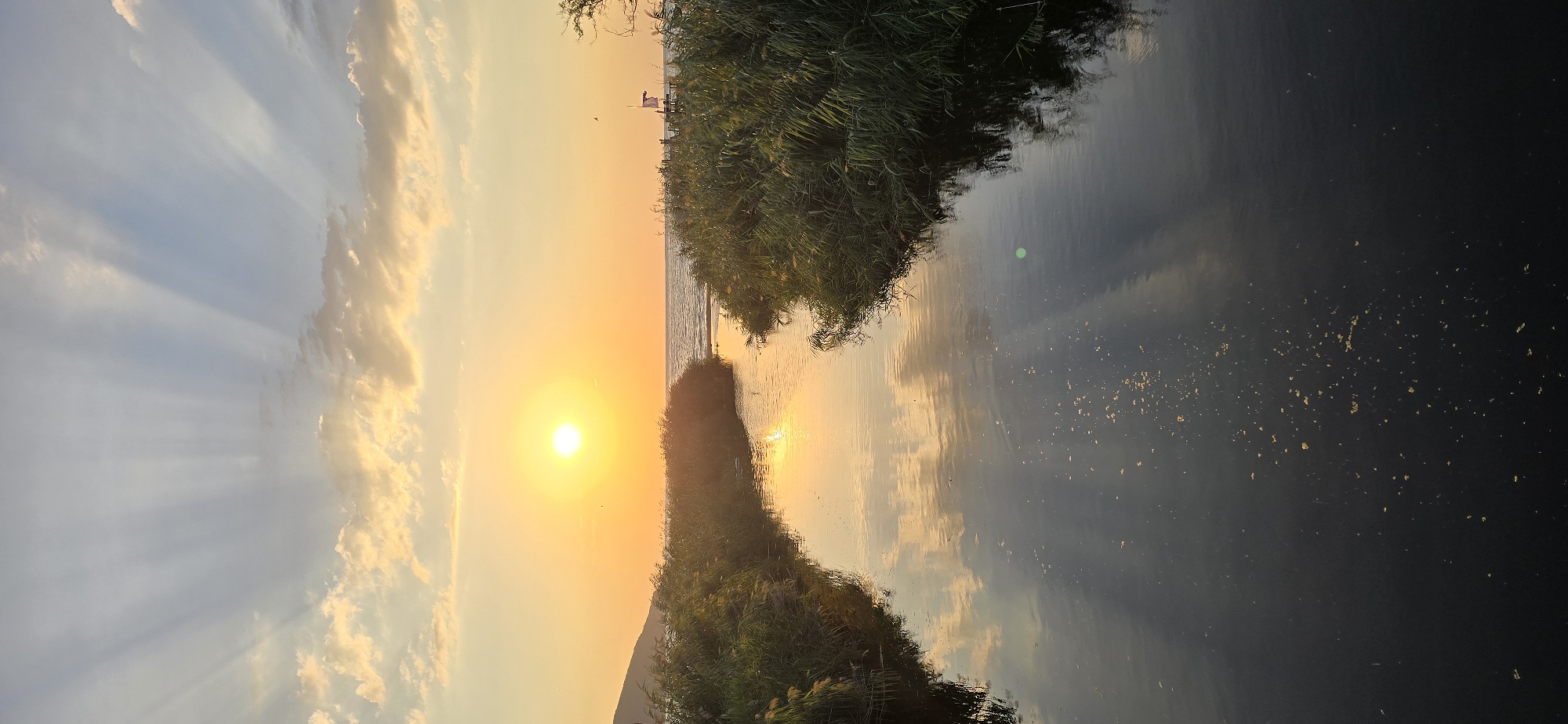 Reedy waterway reflects a golden sunset in vertical frame