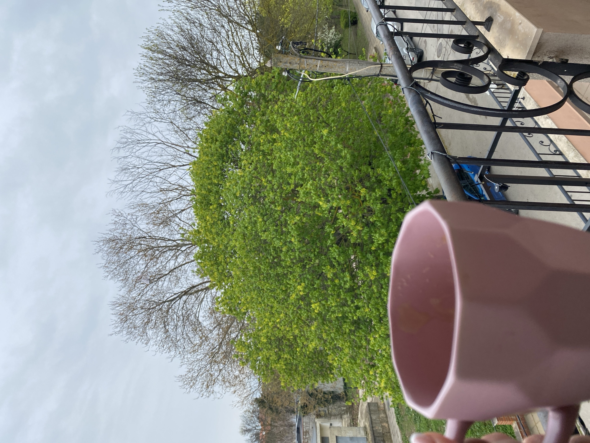 Morning coffee moment captured on ornate balcony in Kavarna