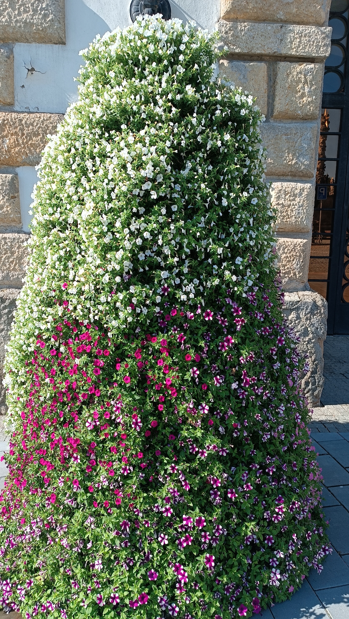Vyškov's cobblestone plaza dressed up in summer blooms