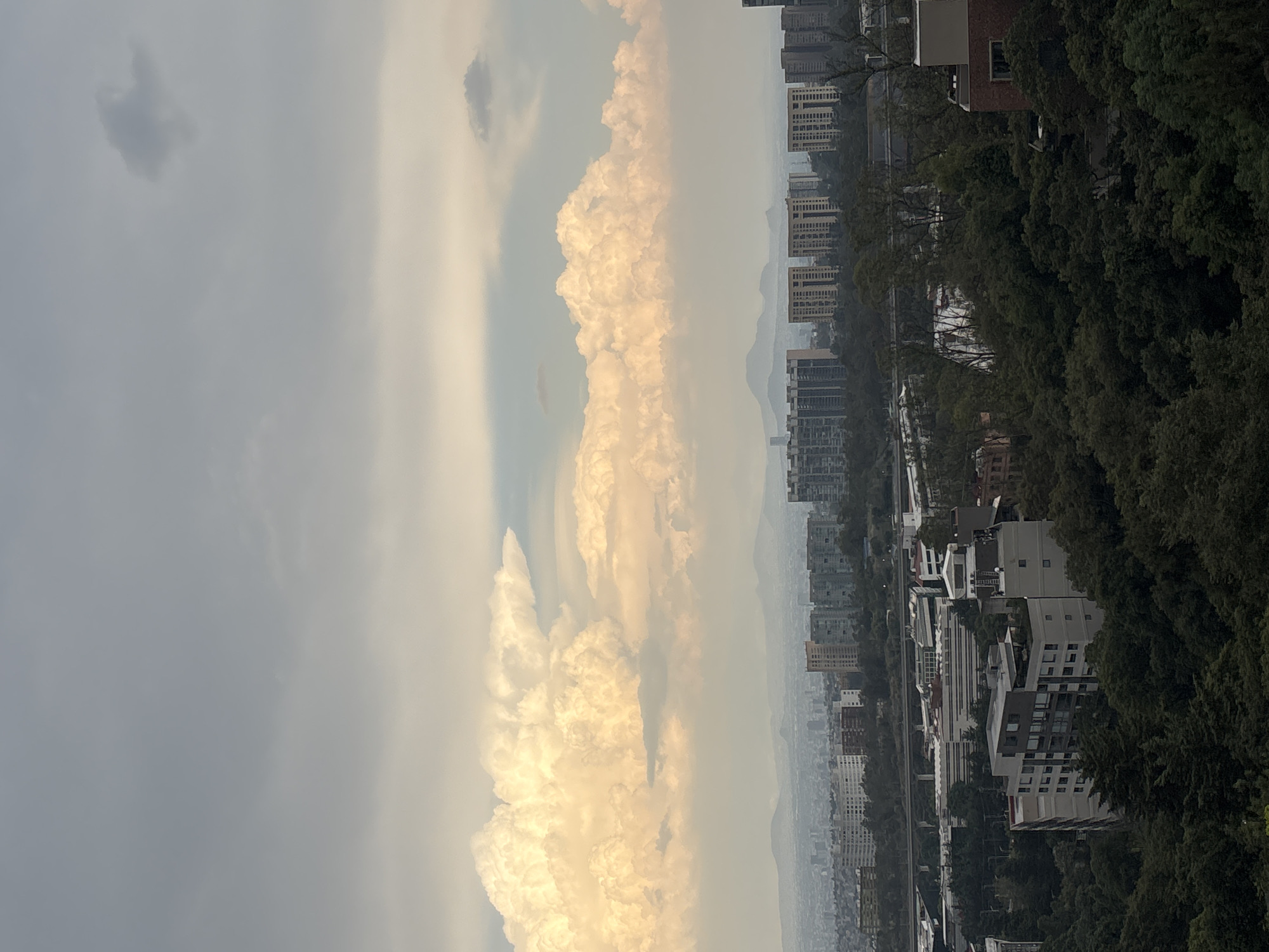 Mexico City resident captures urban skyline and indoor flowers