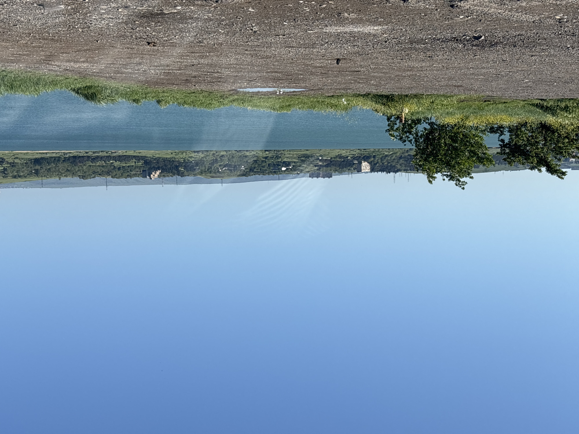 Early morning lakeside moment captured in Tbilisi, Georgia