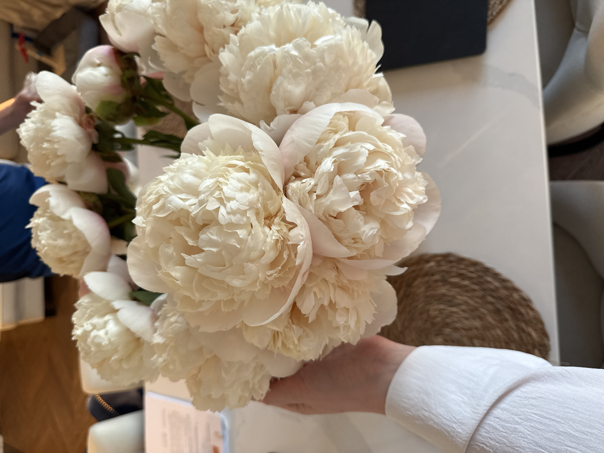 Moscow resident captures evening moments with peonies, dogs, sunset