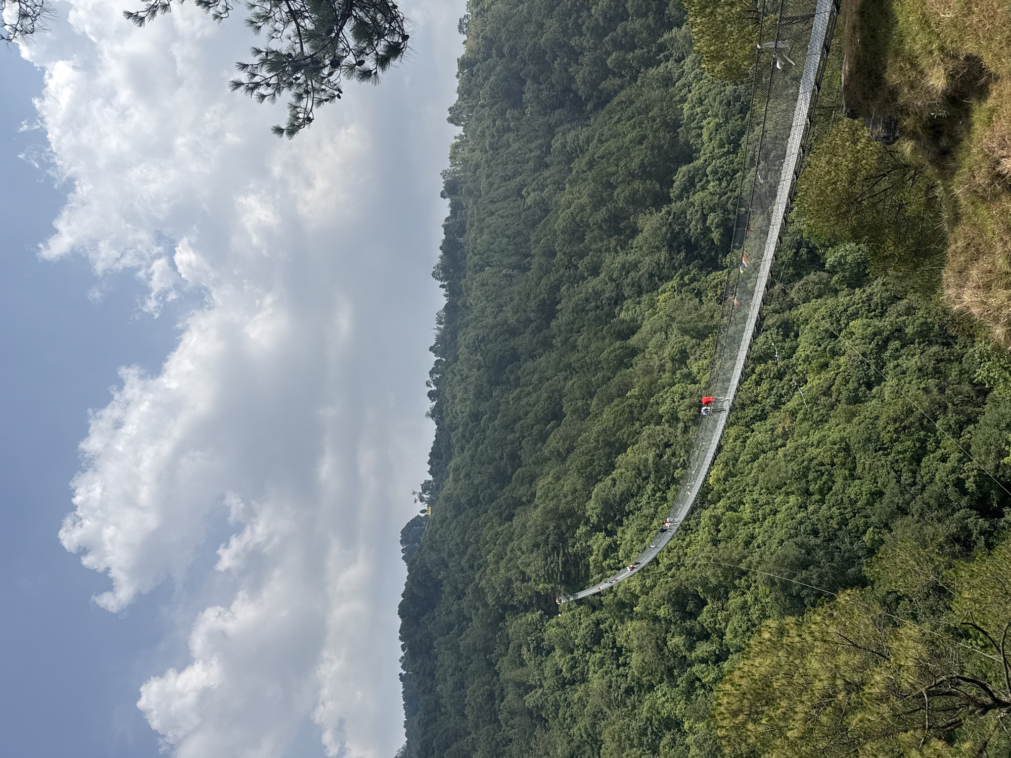 Morning foot traffic recorded on Nepal suspension bridge