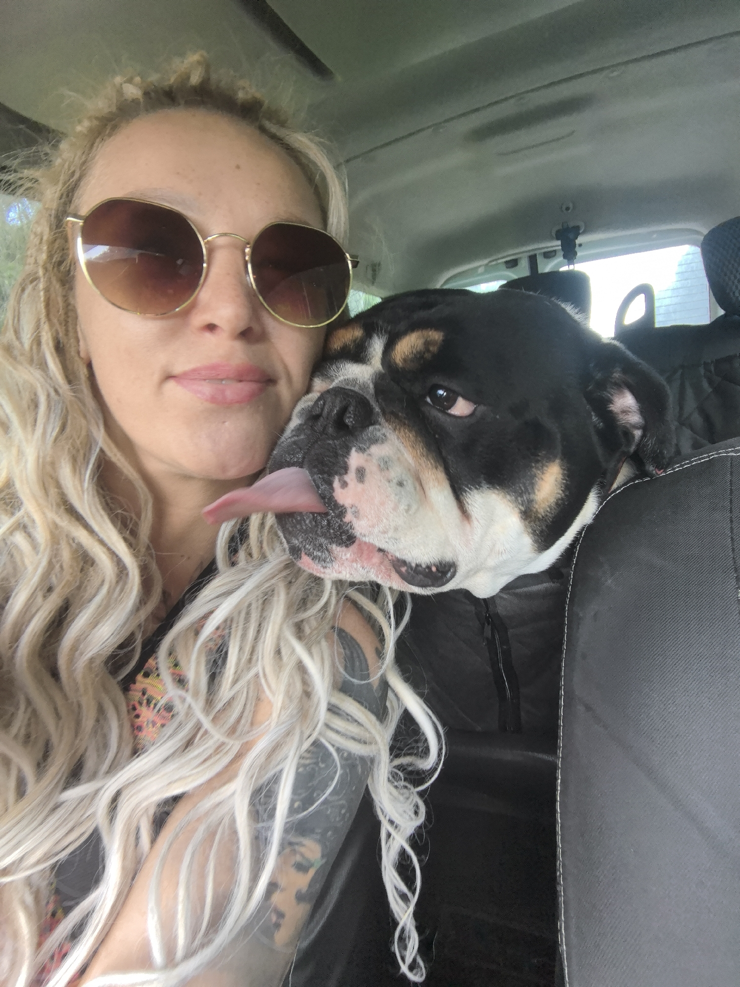 Bulldog co-pilot and sunglasses vibes in a Russian roadtrip car