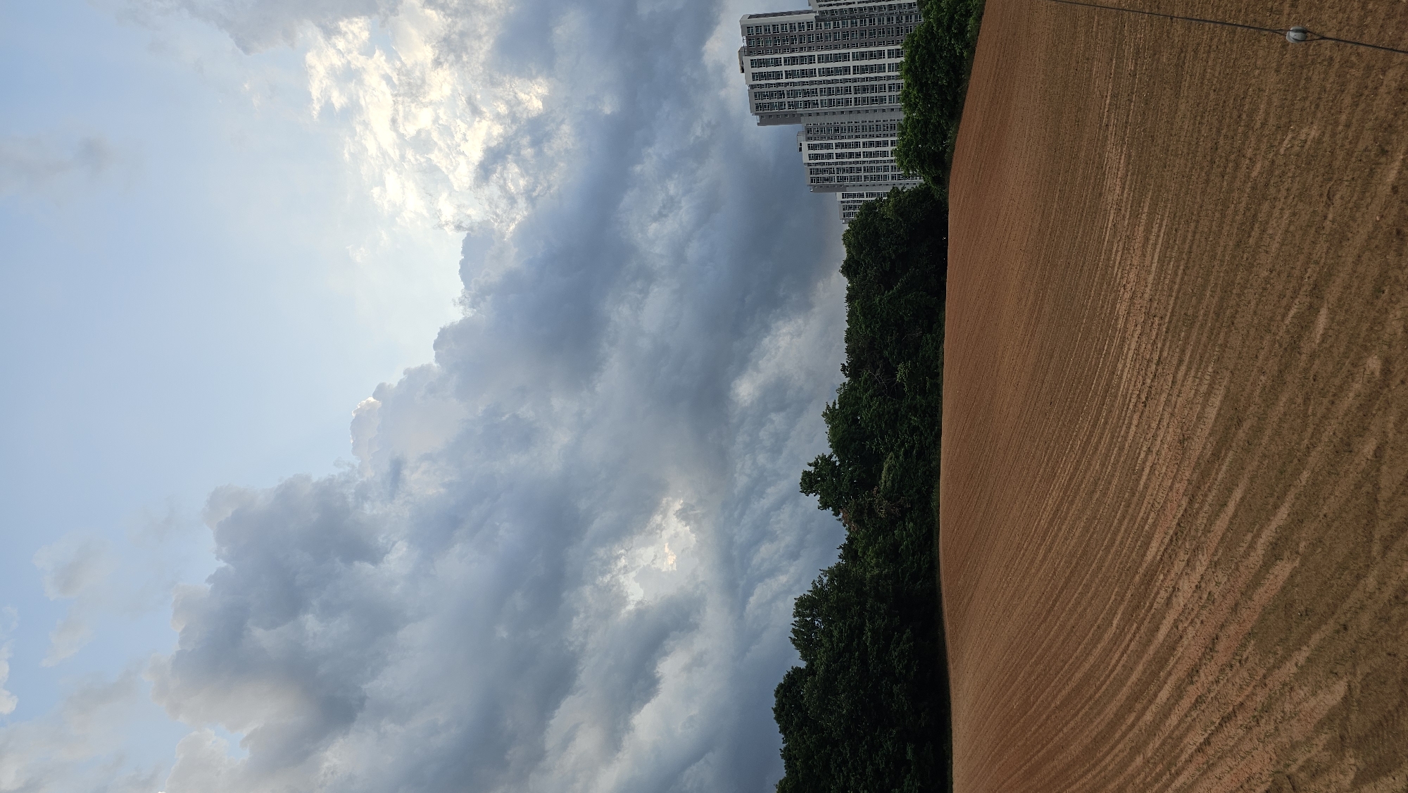Rural morning in Asan-si with stormy fields and indoor cat moments