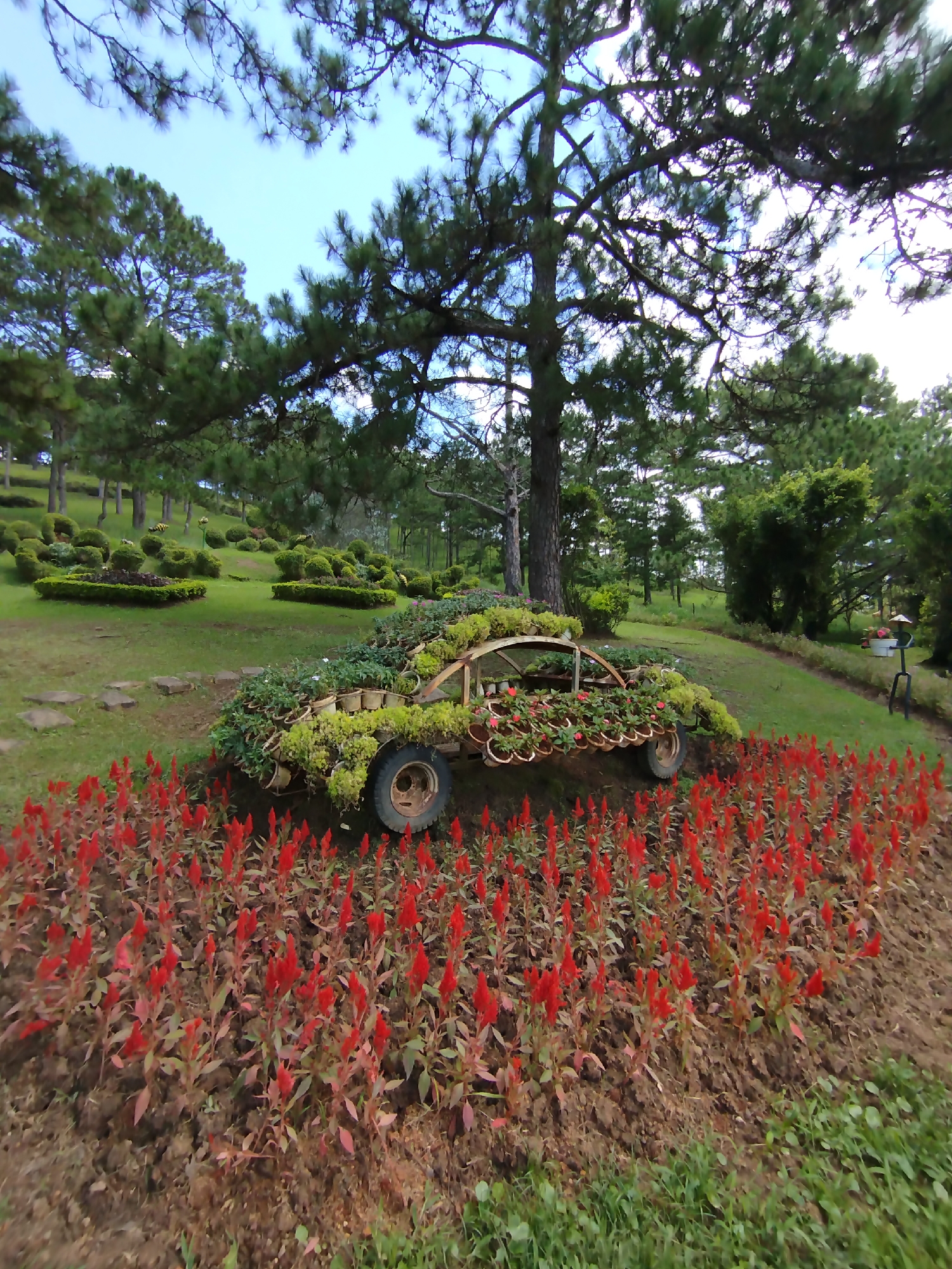 Morning exploration of Da Lat's whimsical Lam Vien Square gardens
