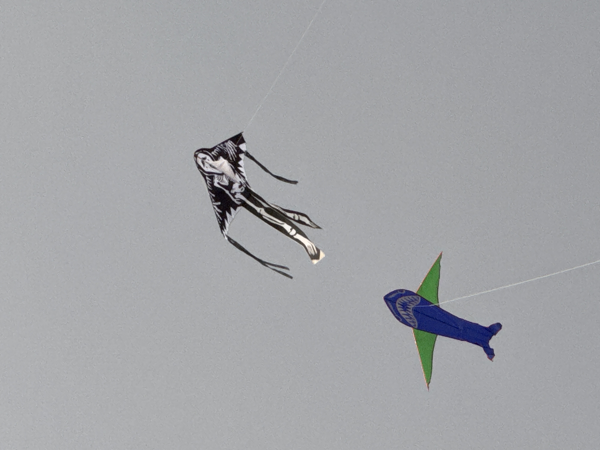 Kites and crowds at a Da Lat outdoor event