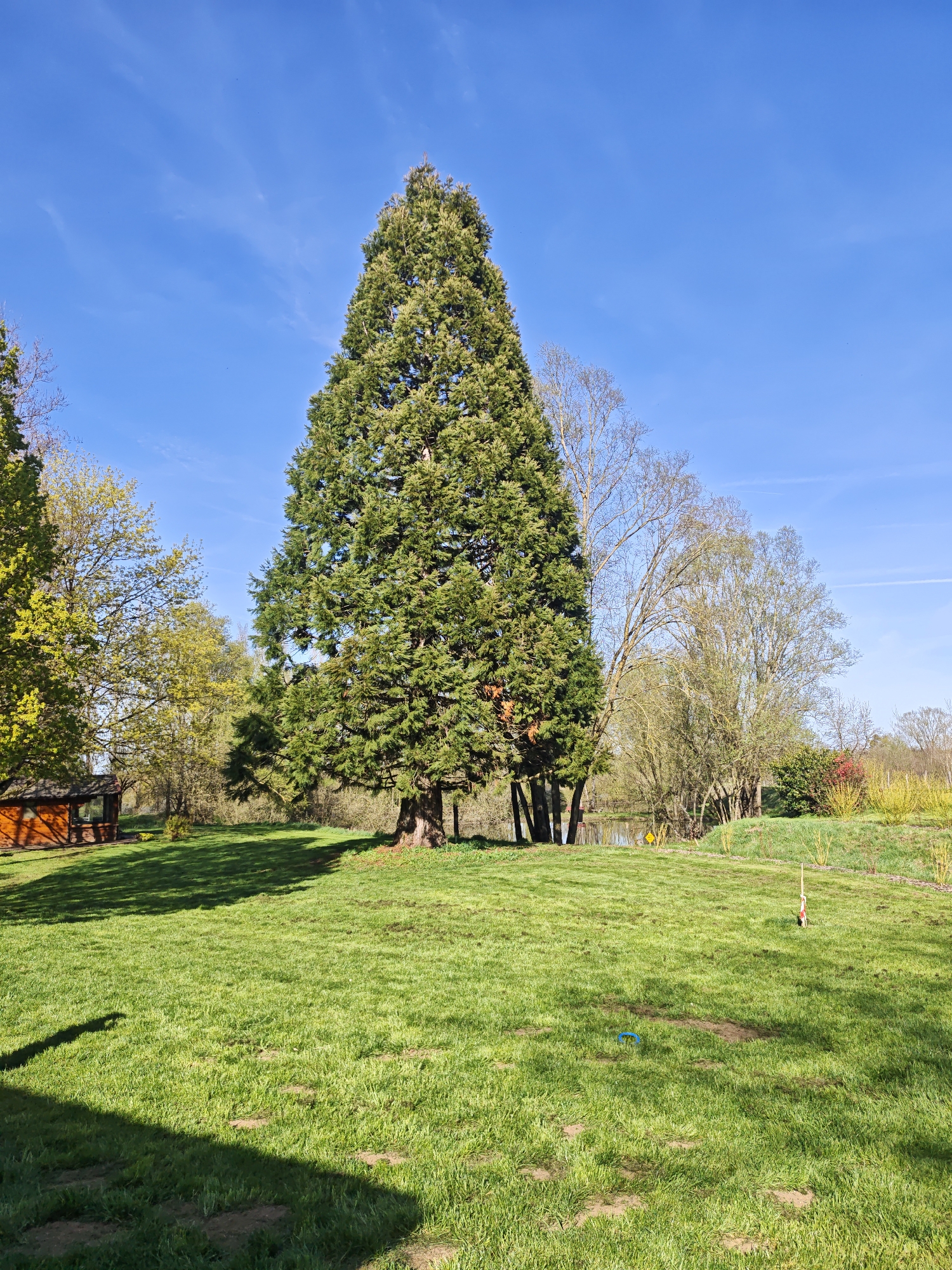 Rural life documented in Foameix-Ornel: rabbits, chickens, countryside