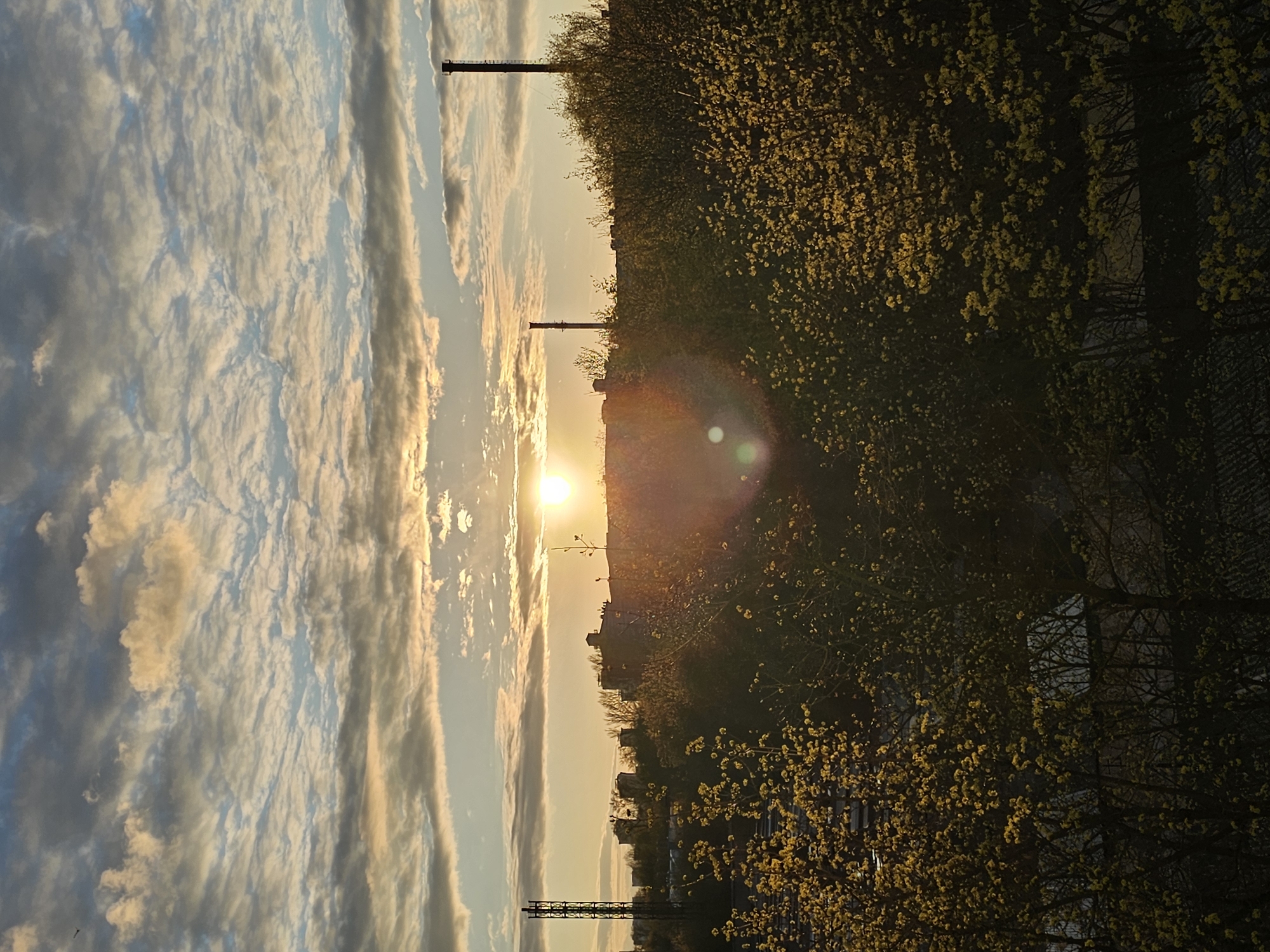 Sunset observed over Khimki urban landscape with highway bridge