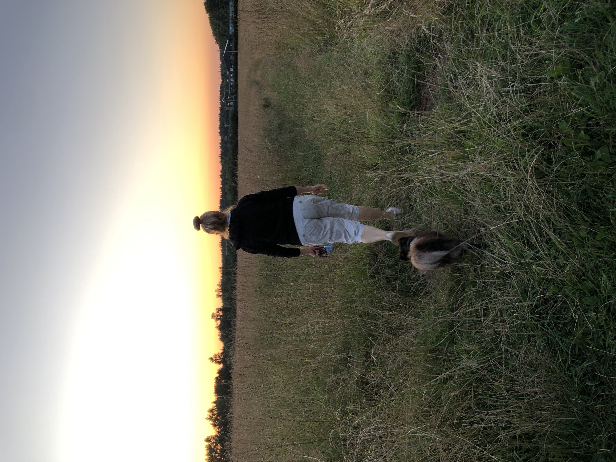 Evening walk with pets through golden-hour fields in Makeikha