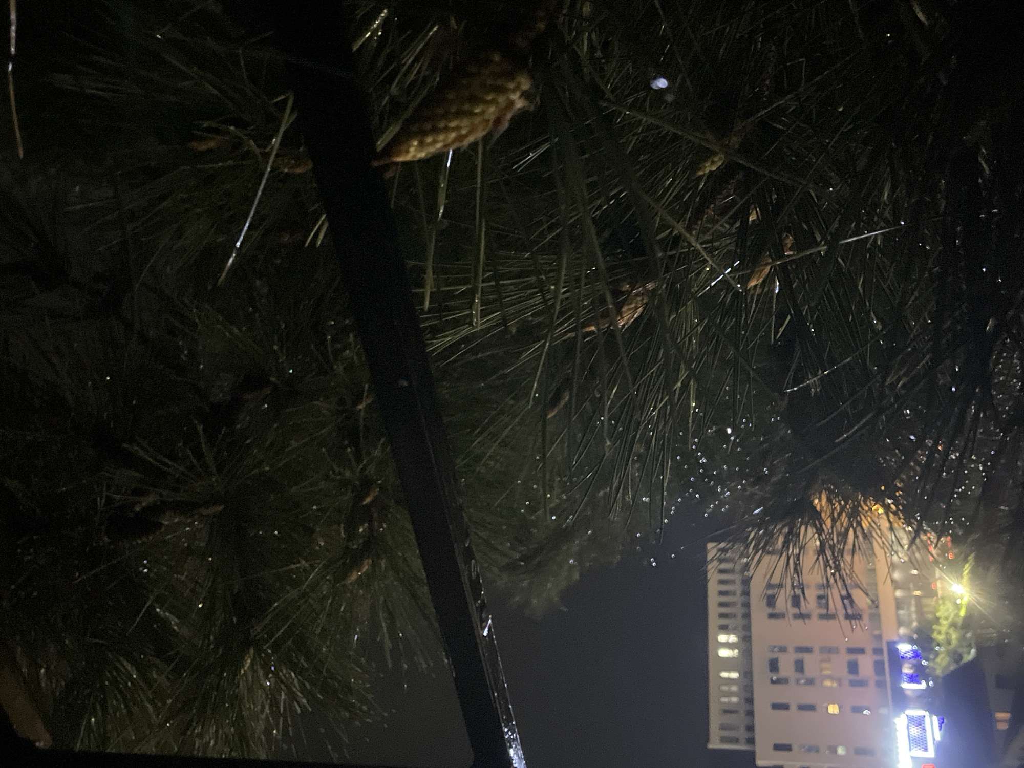 Nighttime urban observations documented across Budva, Montenegro