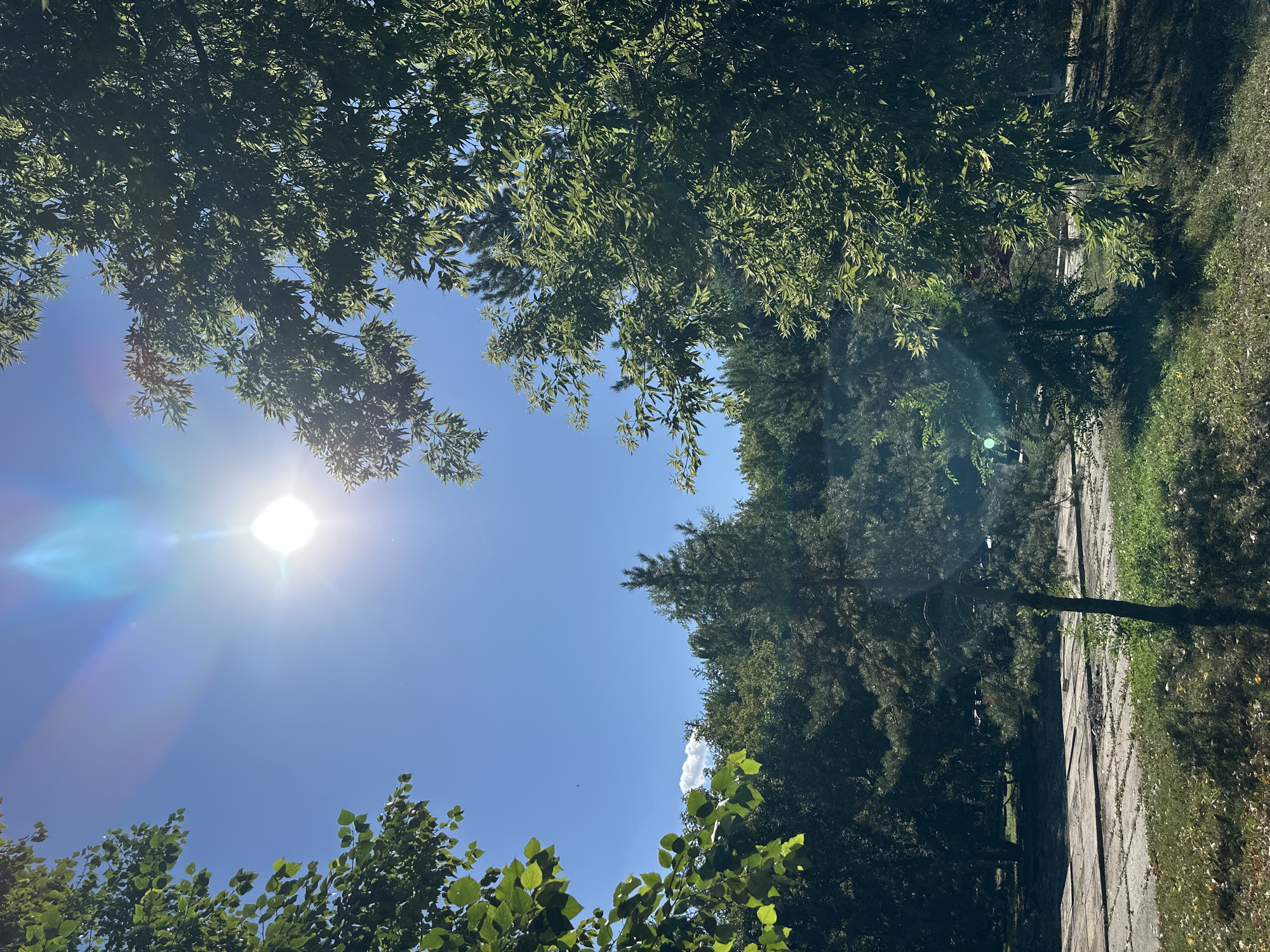Sunny afternoon walk through a tree-lined park in Kokshetau