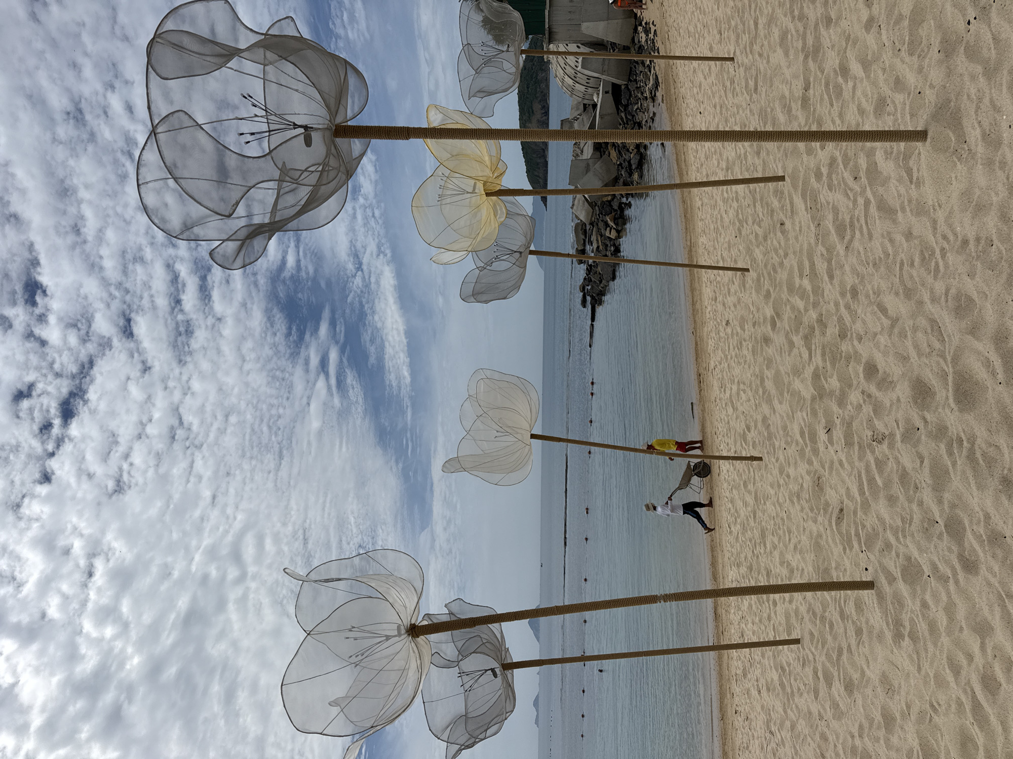 Translucent floral sculptures installed along Nha Trang beach