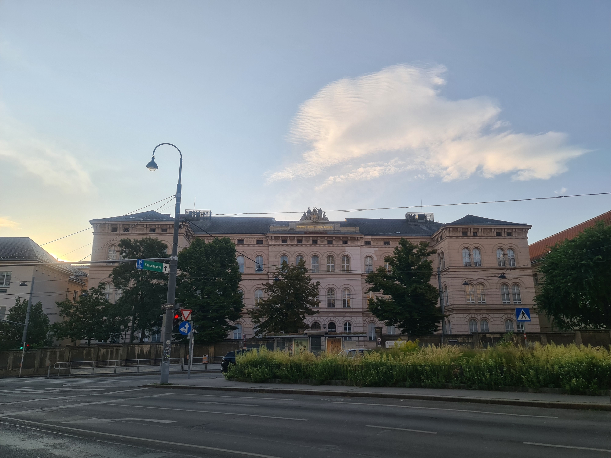 Vienna's historic university campus explored on a July morning