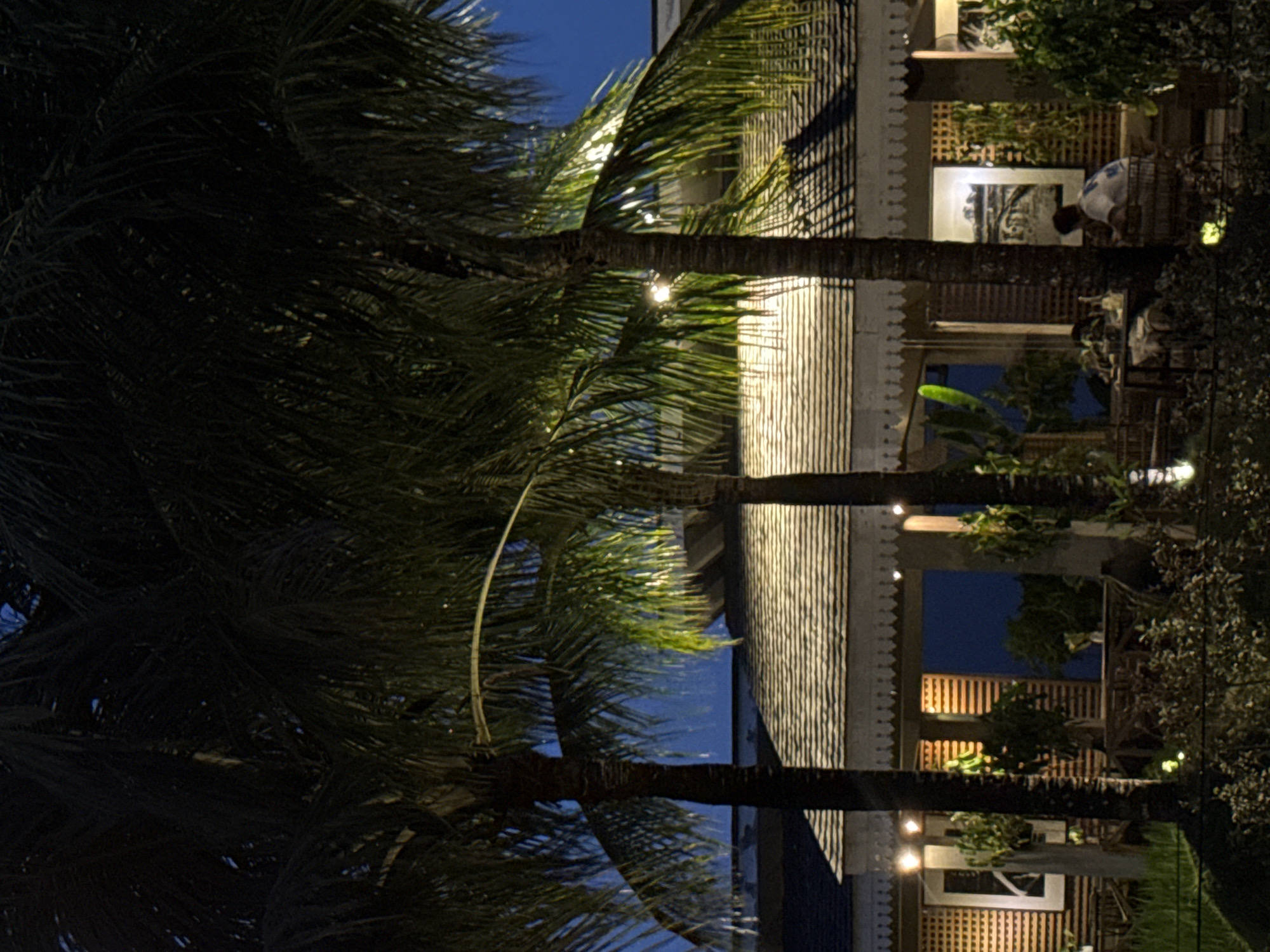 Quiet morning at a North Kuta villa, dogs and all