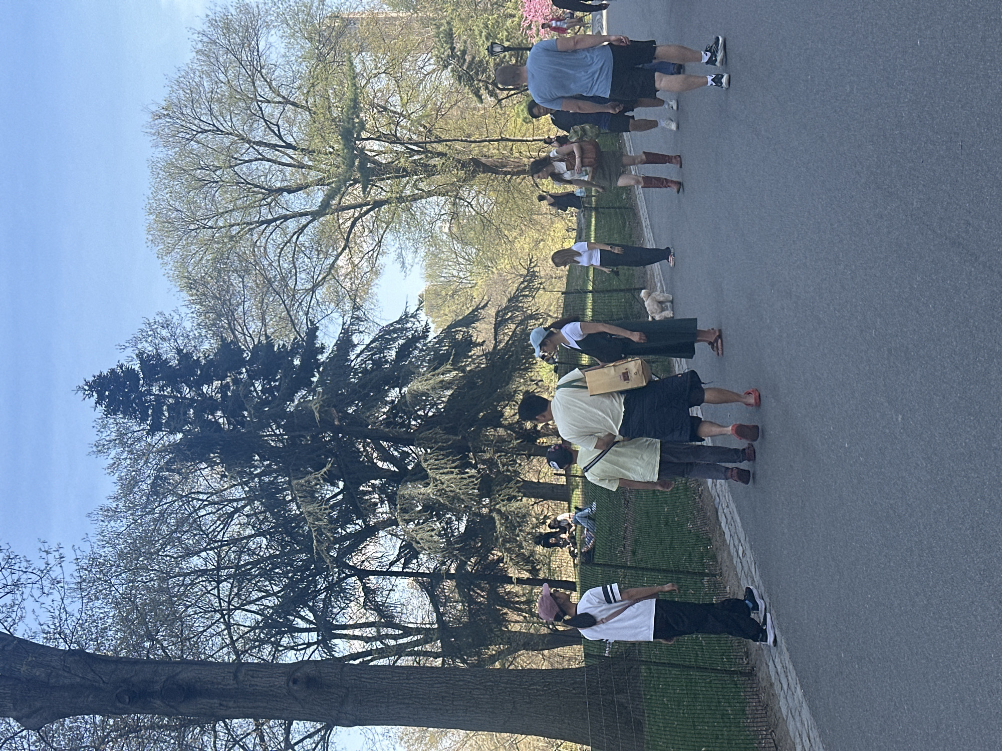 Spring evening stroll captured in Central Park NYC