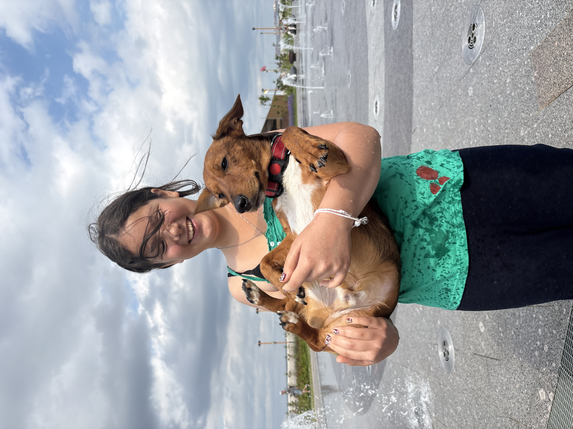 Morning recreation documented at Saint Petersburg waterfront park