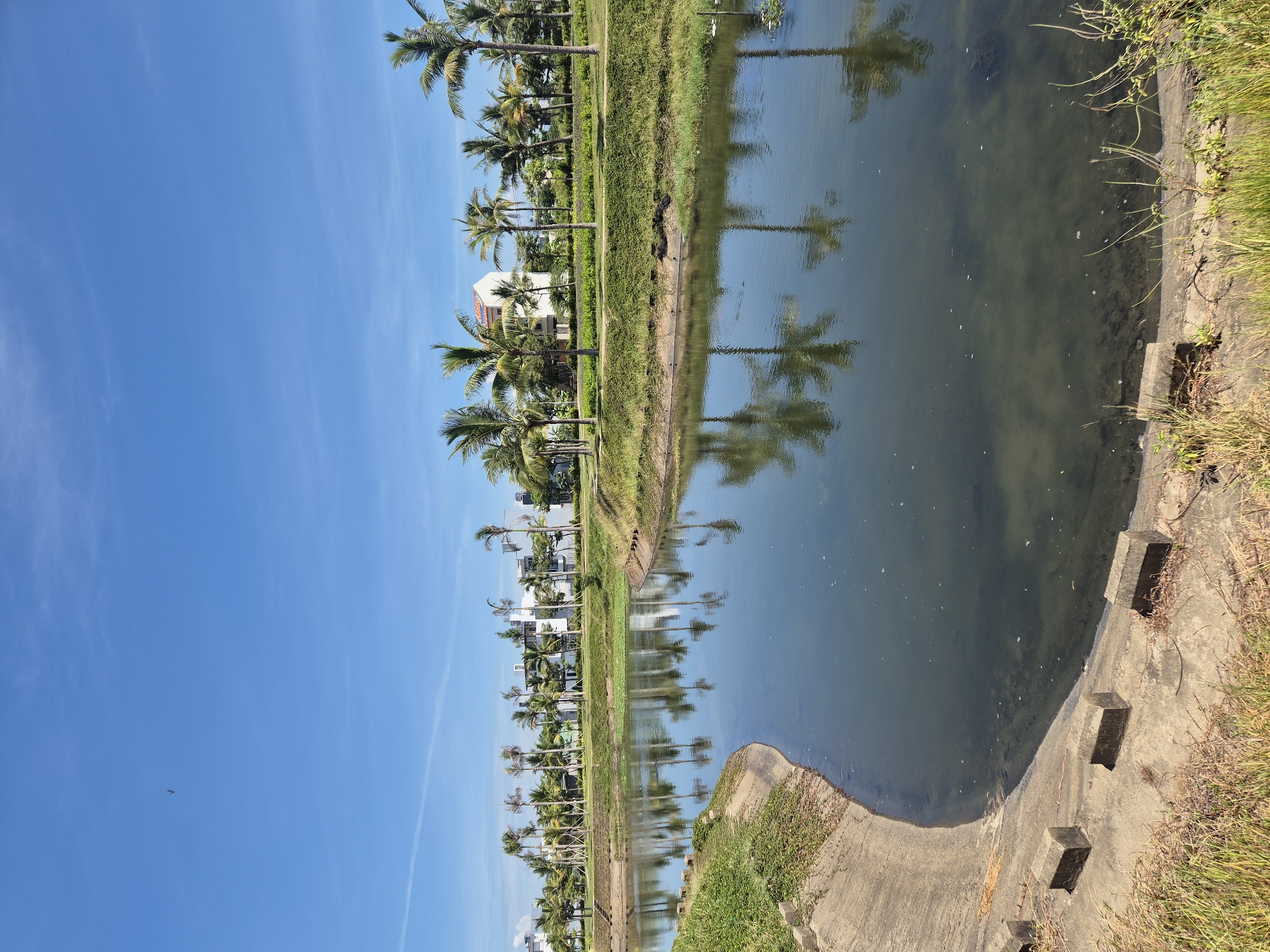 Tranquil canal scene documented in early morning Đà Nẵng
