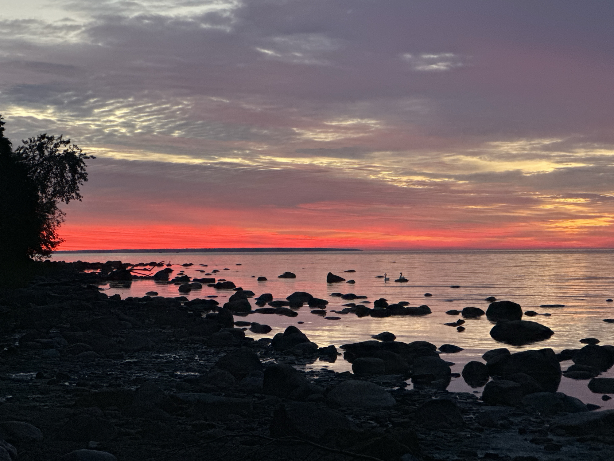 Dramatic sunset captured over Tallinn Bay coastline during summer twilight
