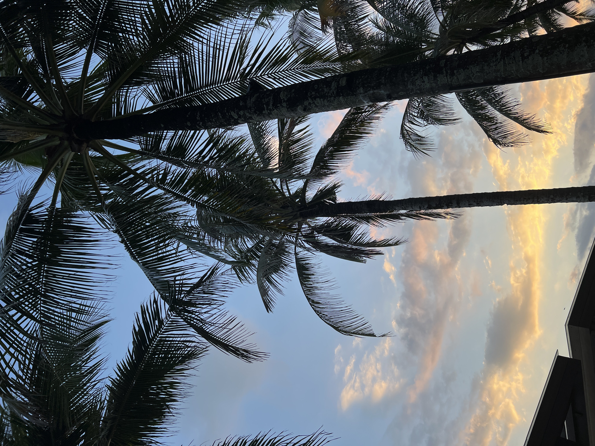 Morning resort relaxation documented at W Bali, North Kuta