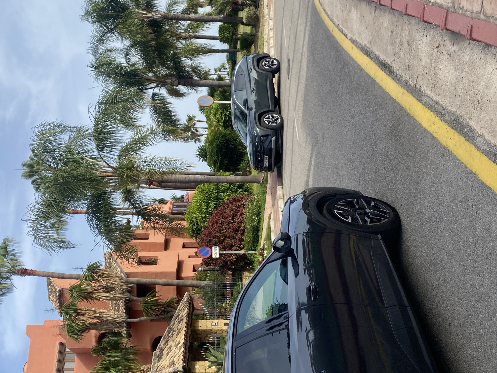 Afternoon on Estepona's palm-lined coastal promenade