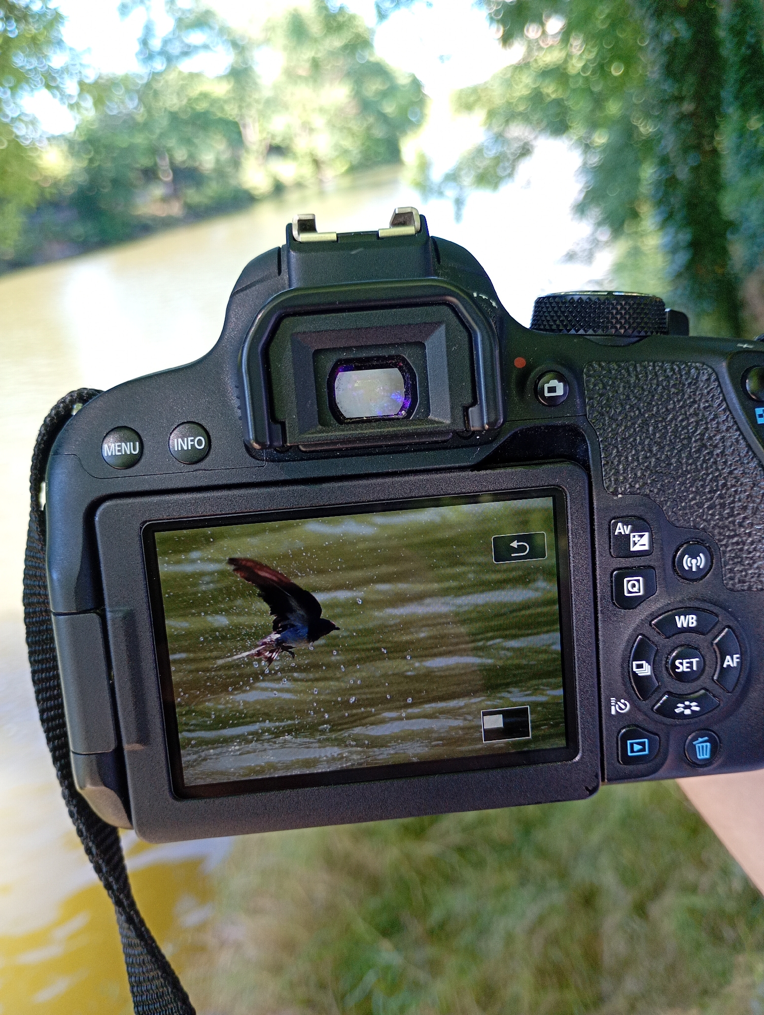 Morning photography walk captures nature and urban details in Yambol