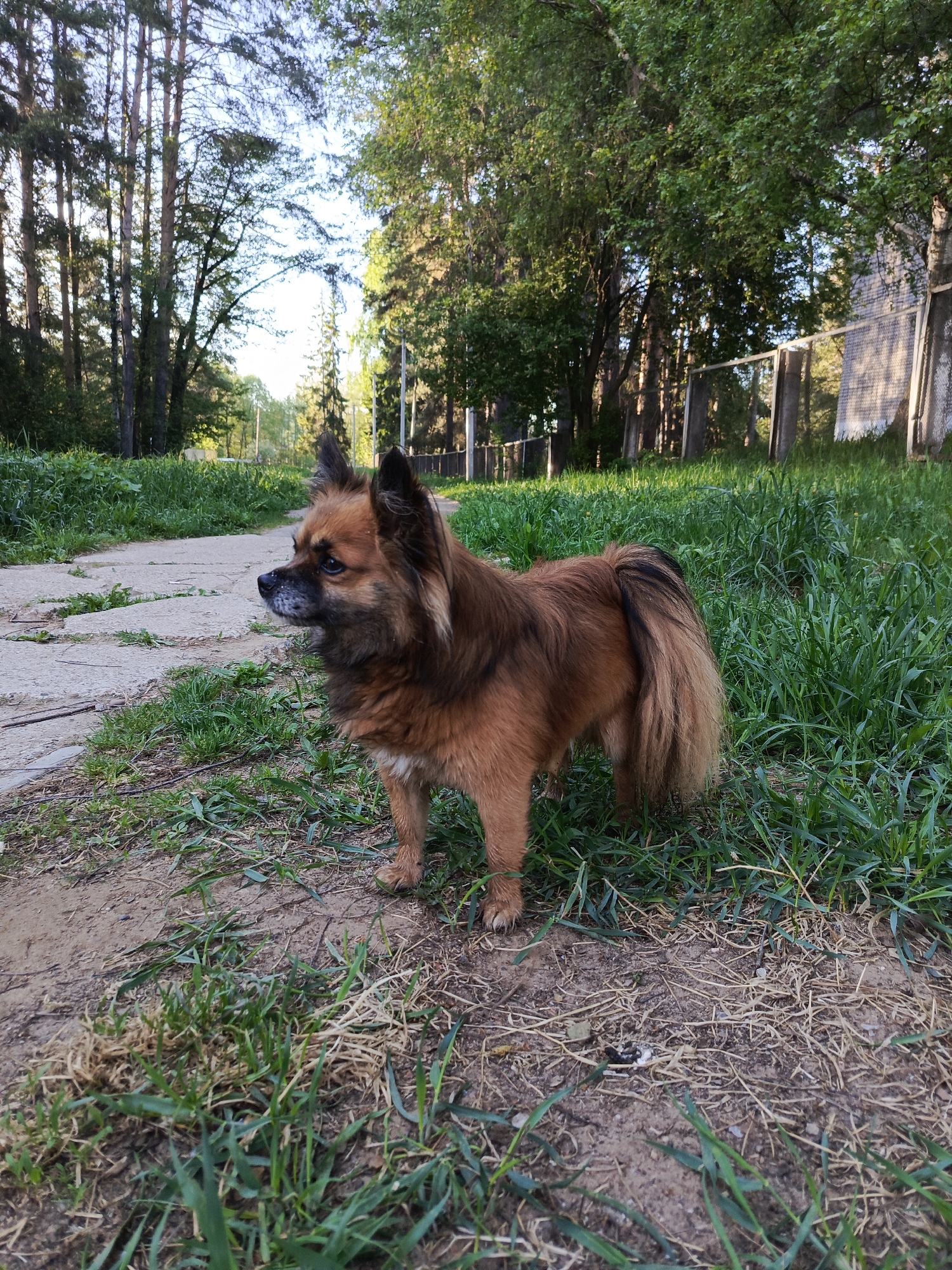 Spring scenes documented in Chaikovsky park area