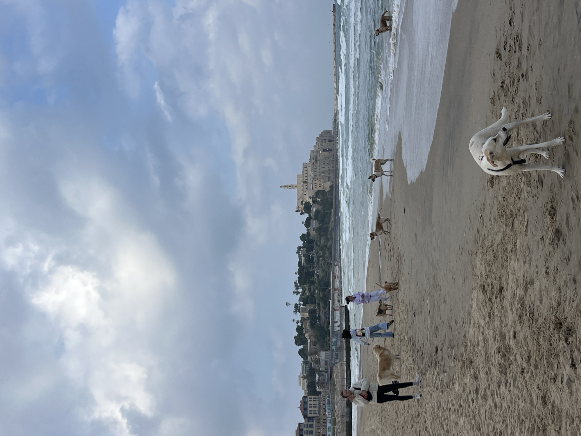 Early morning scenes captured at Tel Aviv beach and interior