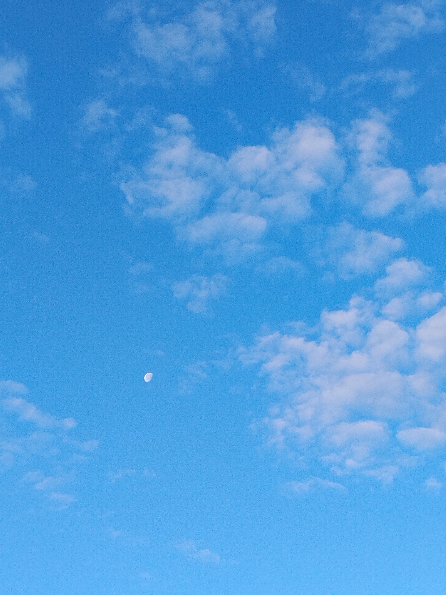 Sunset and crescent moon over rural Ustyvytsia, Ukraine