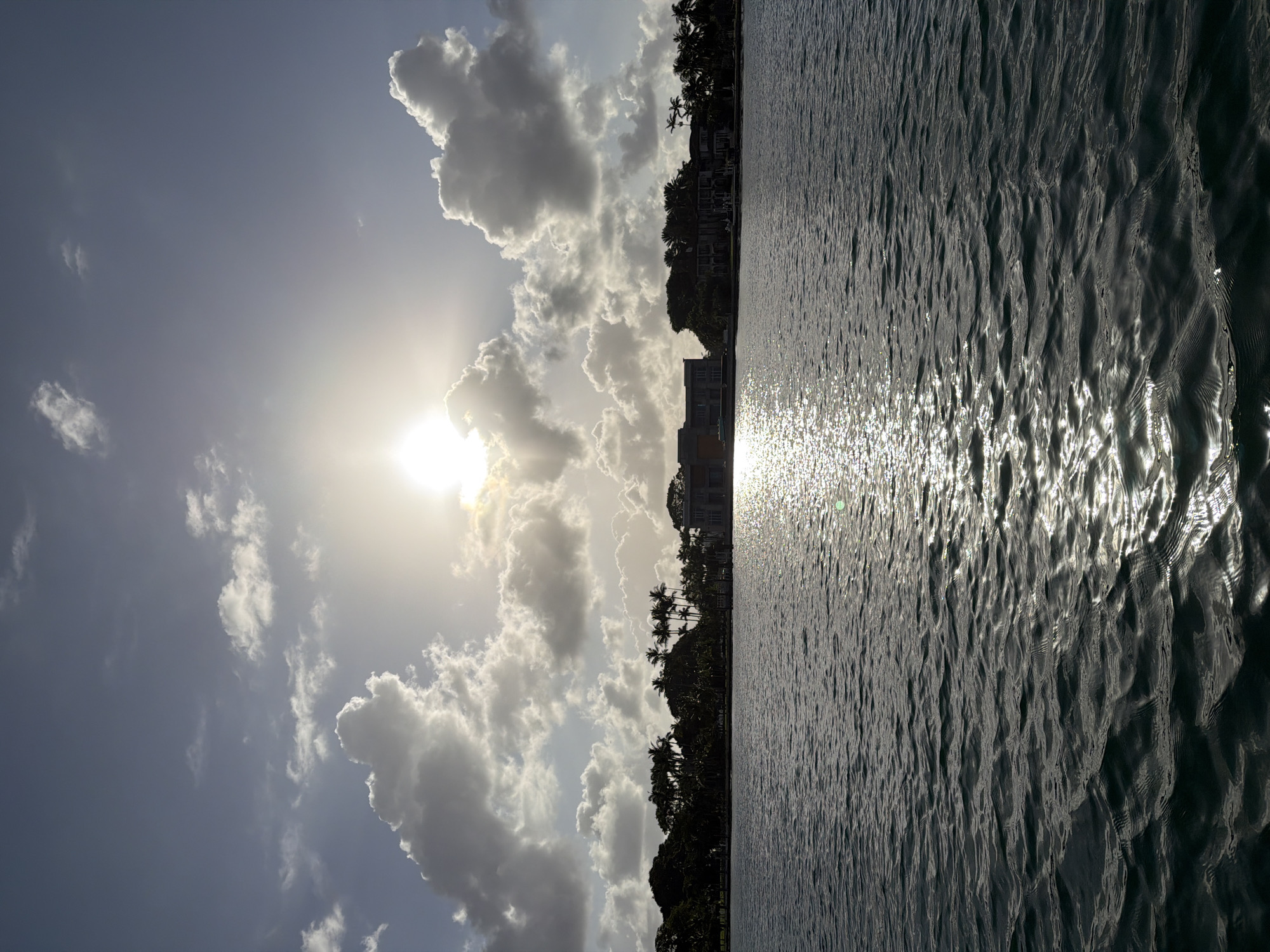 Sunny waterfront moment captured in Bay Harbor Islands Florida